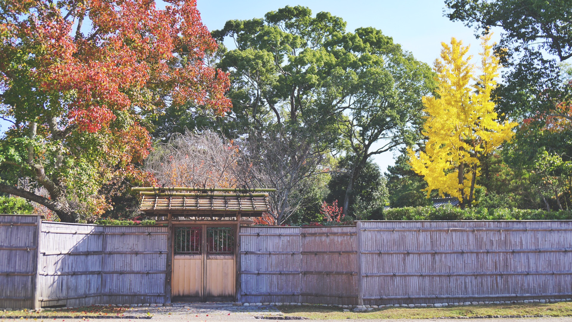 京都自助遊攻略