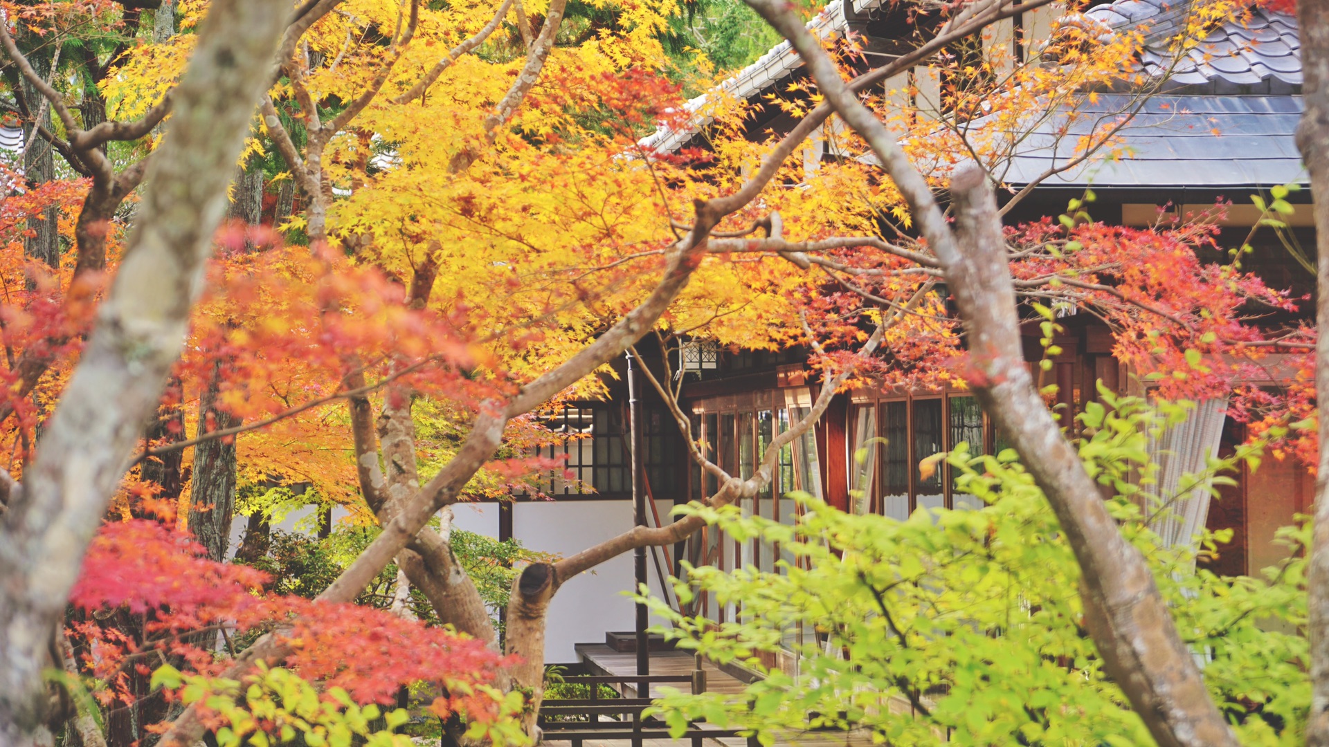 京都自助遊攻略