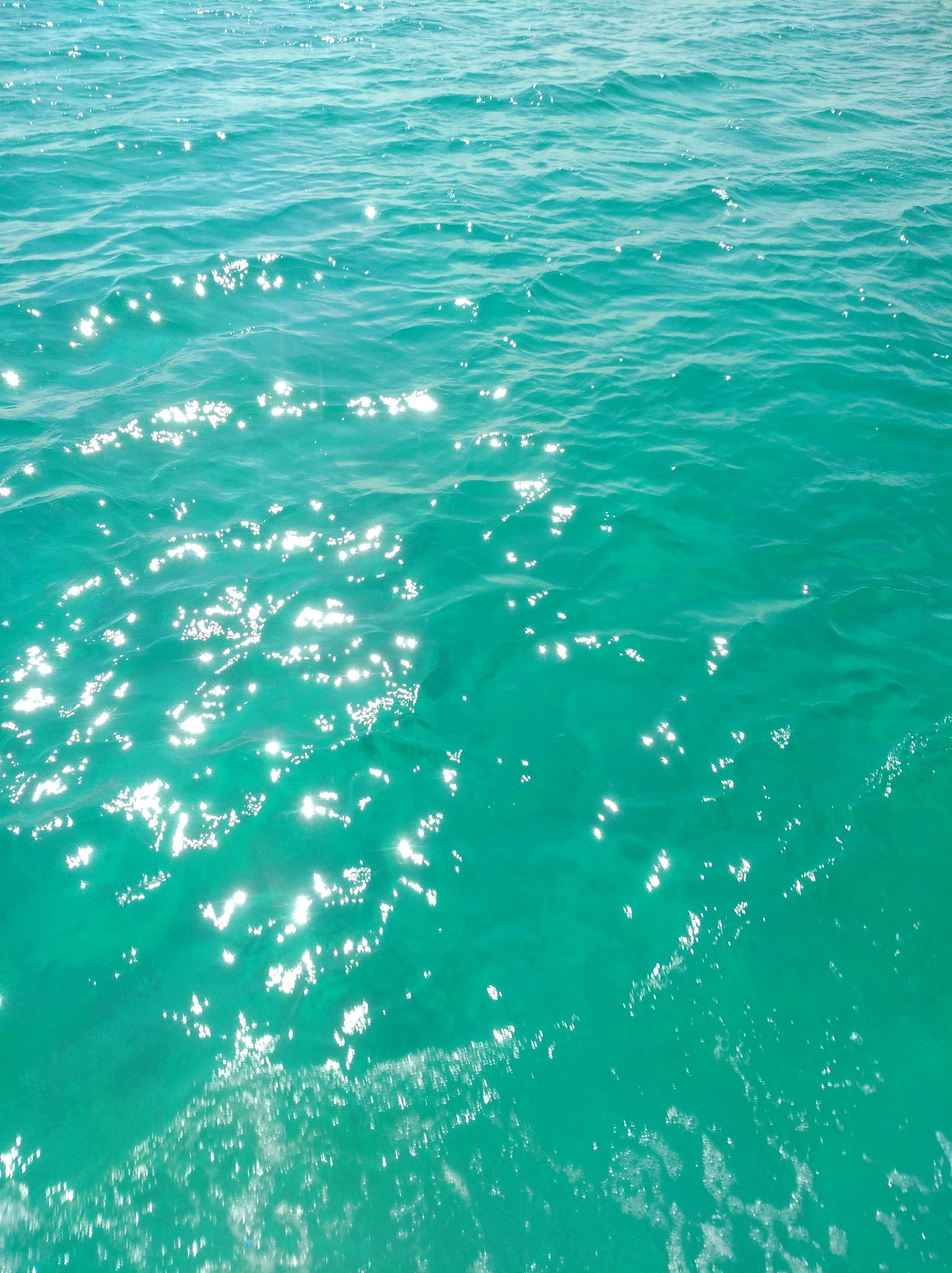 与萨瓦迪卡的"久别重逢"