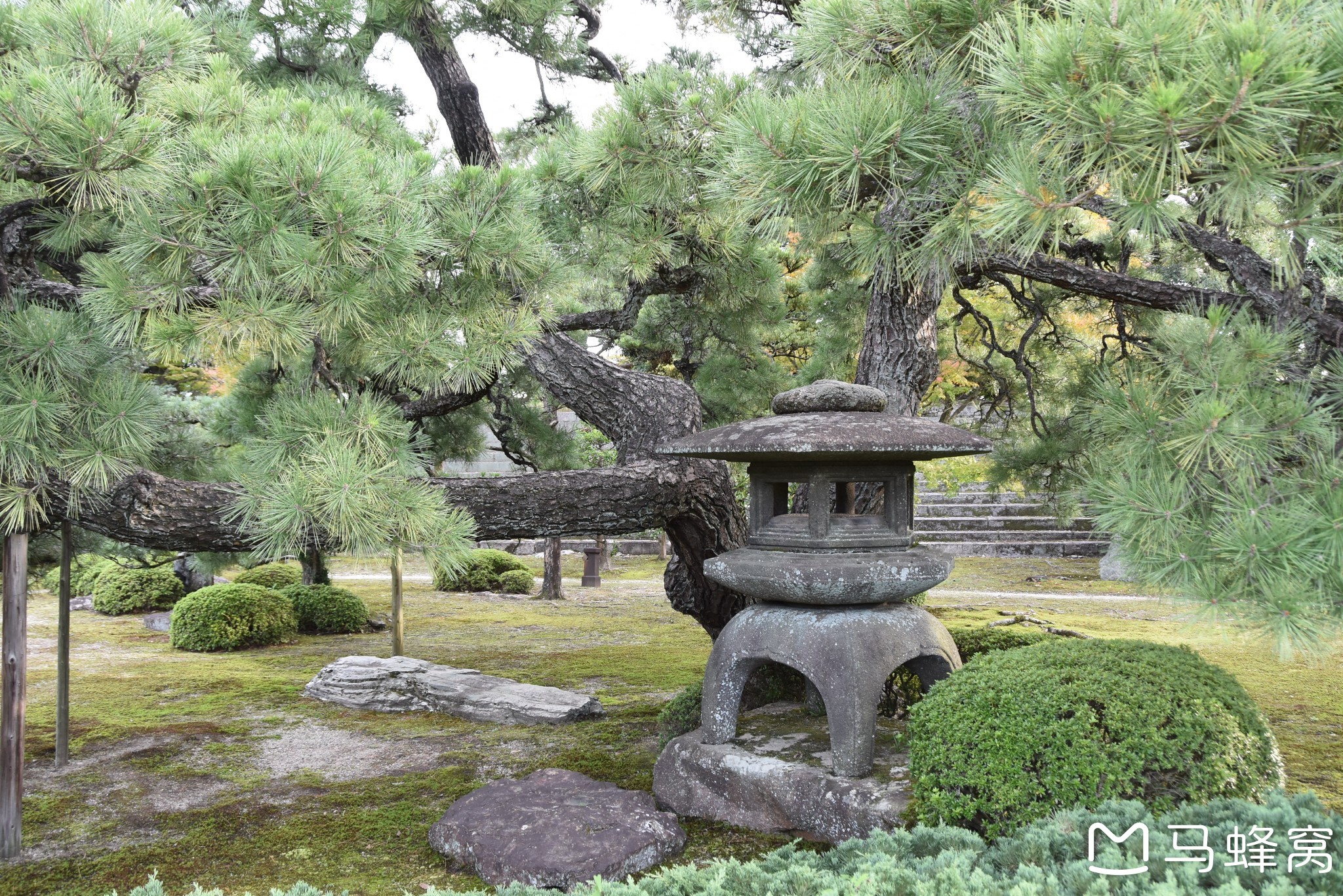 京都自助遊攻略