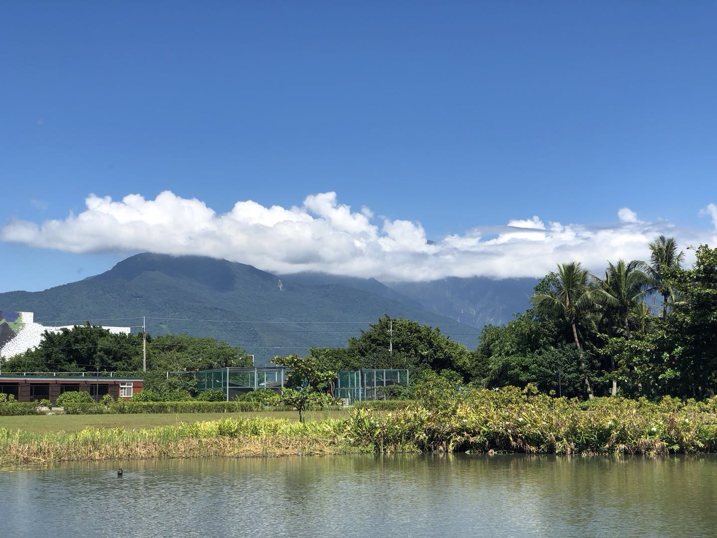 台开心农场