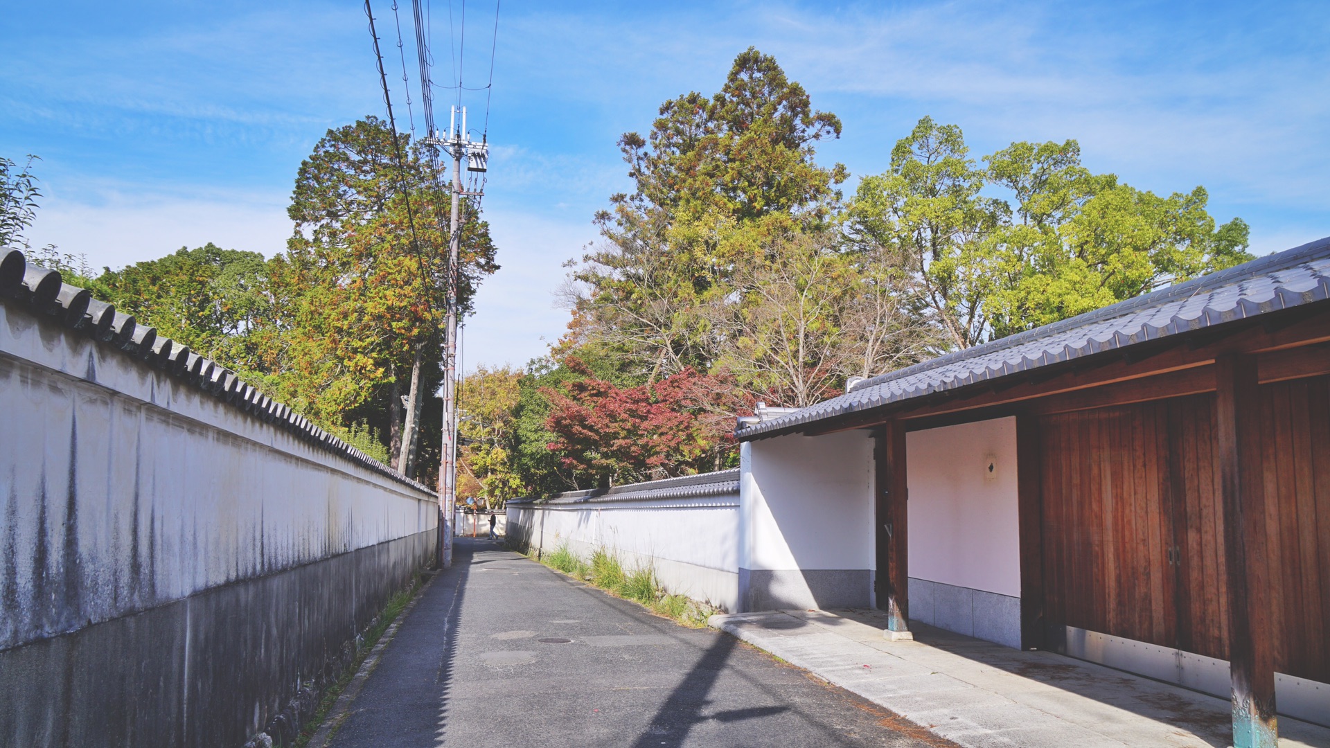 京都自助遊攻略