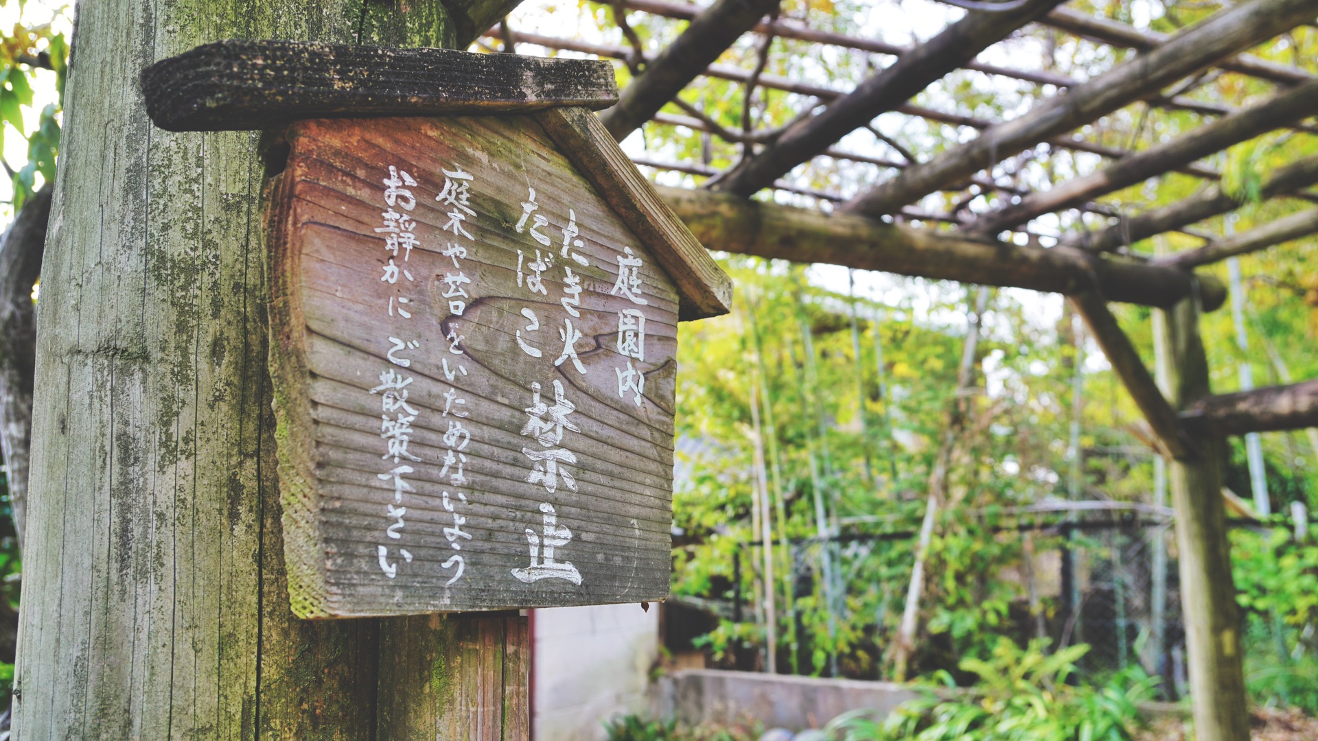 京都自助遊攻略