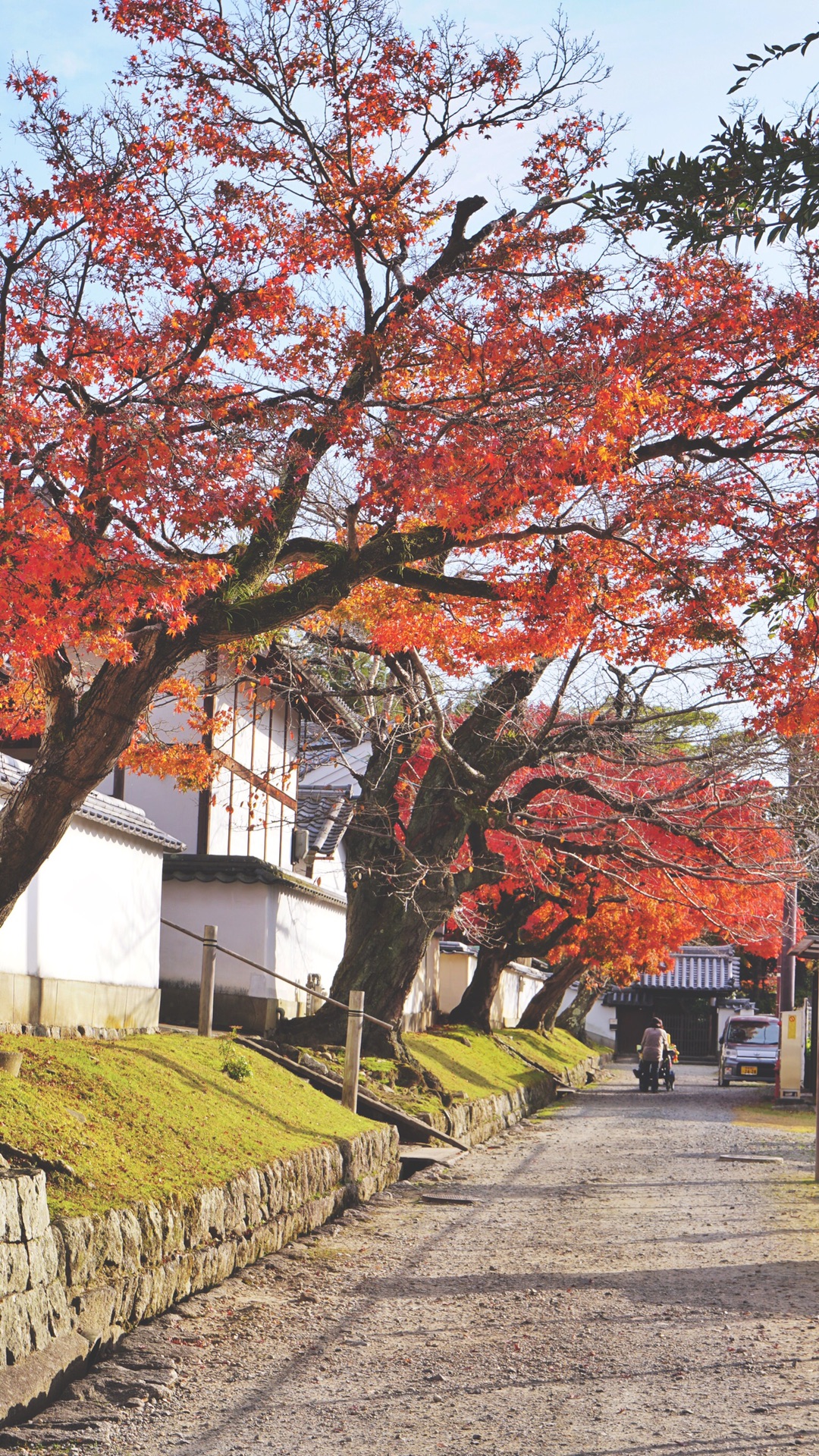 京都自助遊攻略