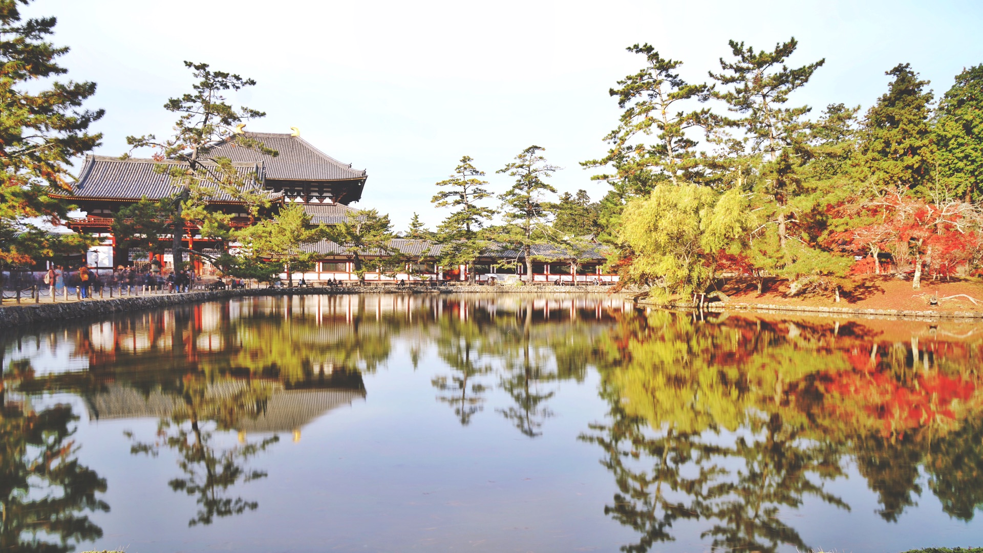 京都自助遊攻略