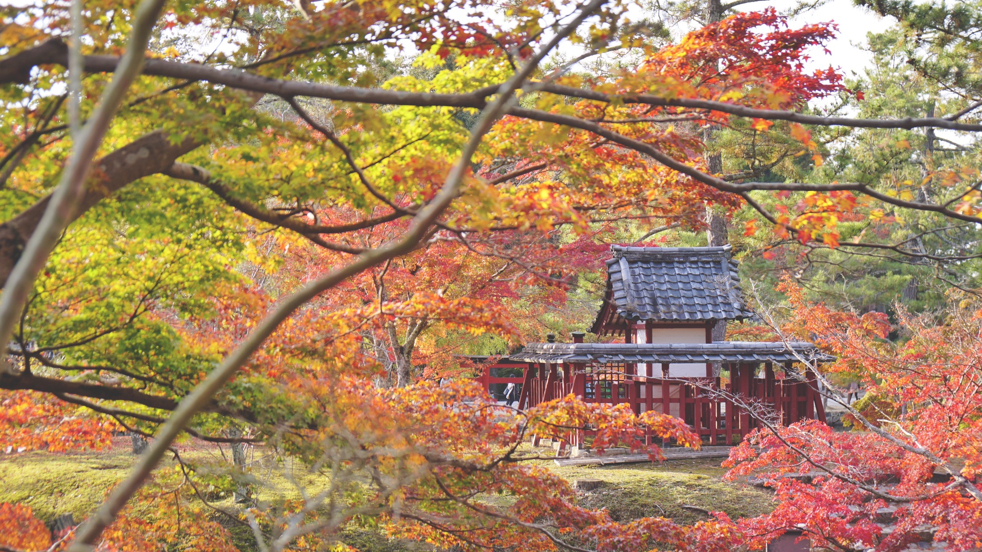 京都自助遊攻略