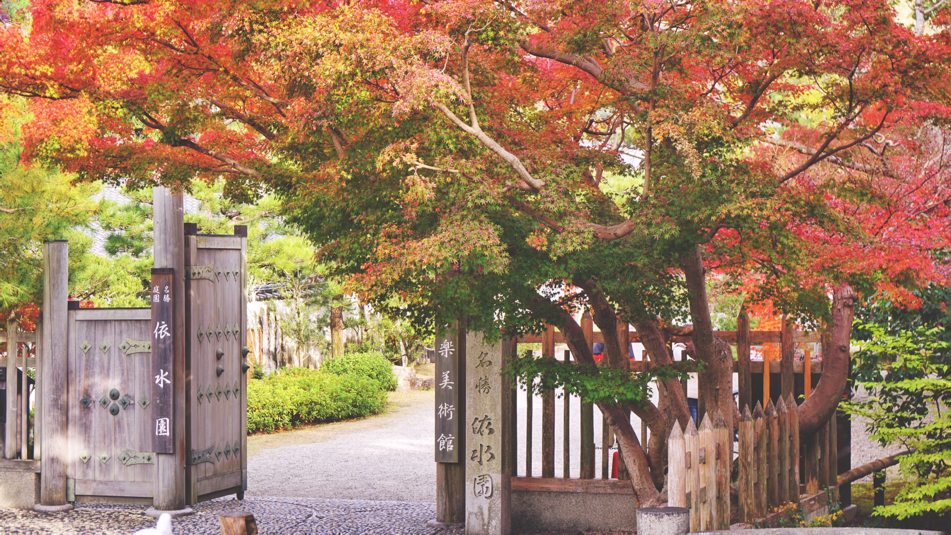 京都自助遊攻略