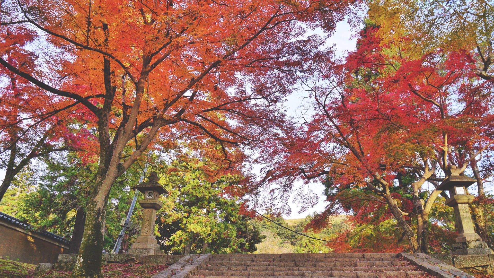 京都自助遊攻略