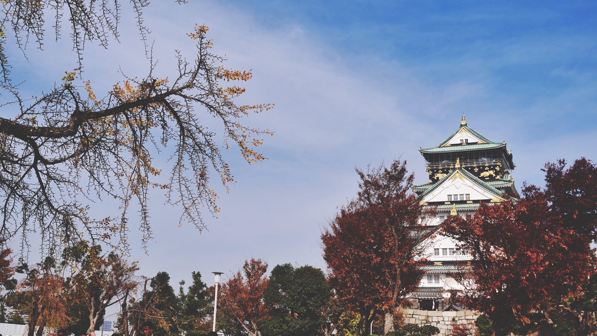 京都自助遊攻略