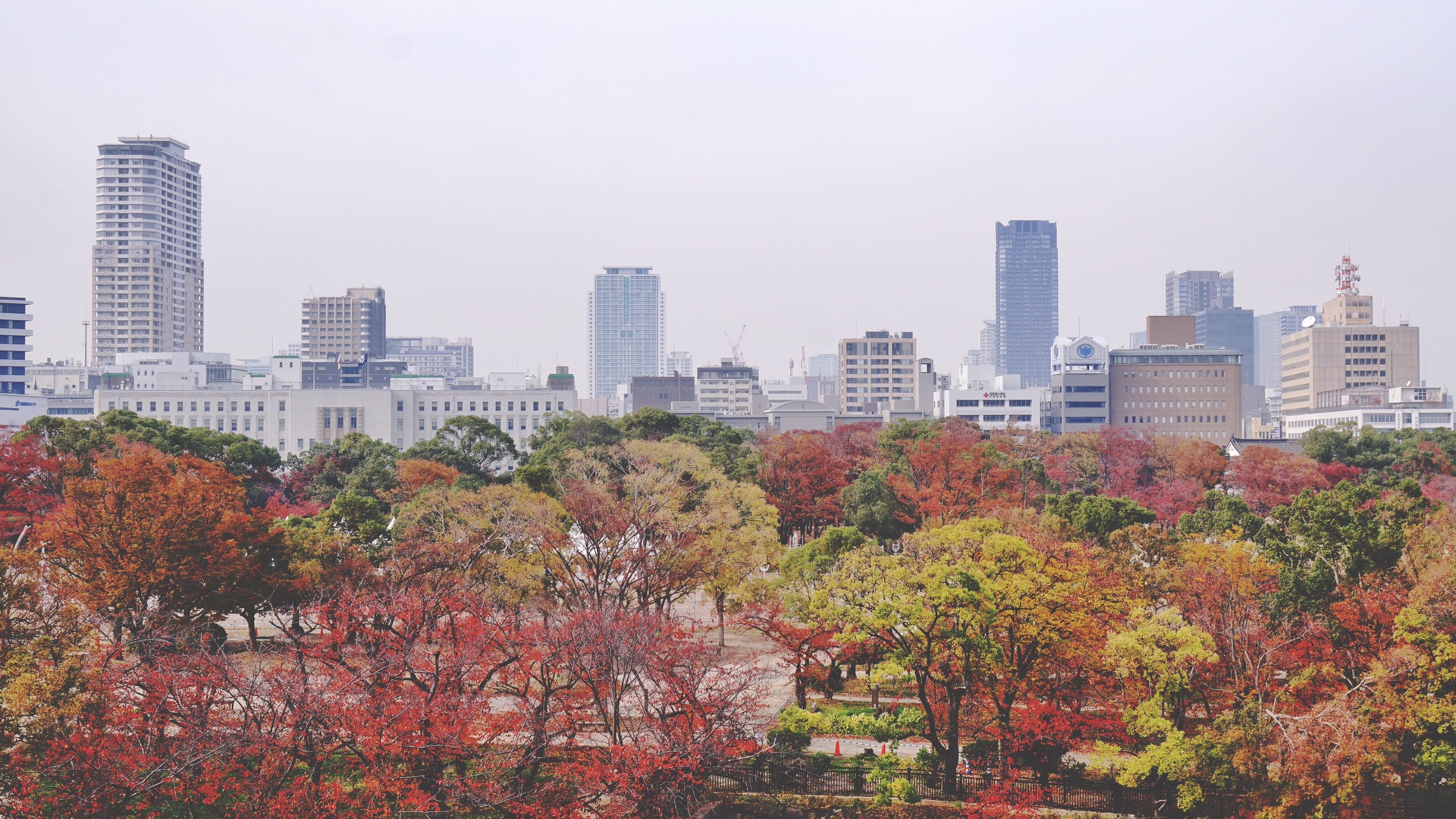 京都自助遊攻略