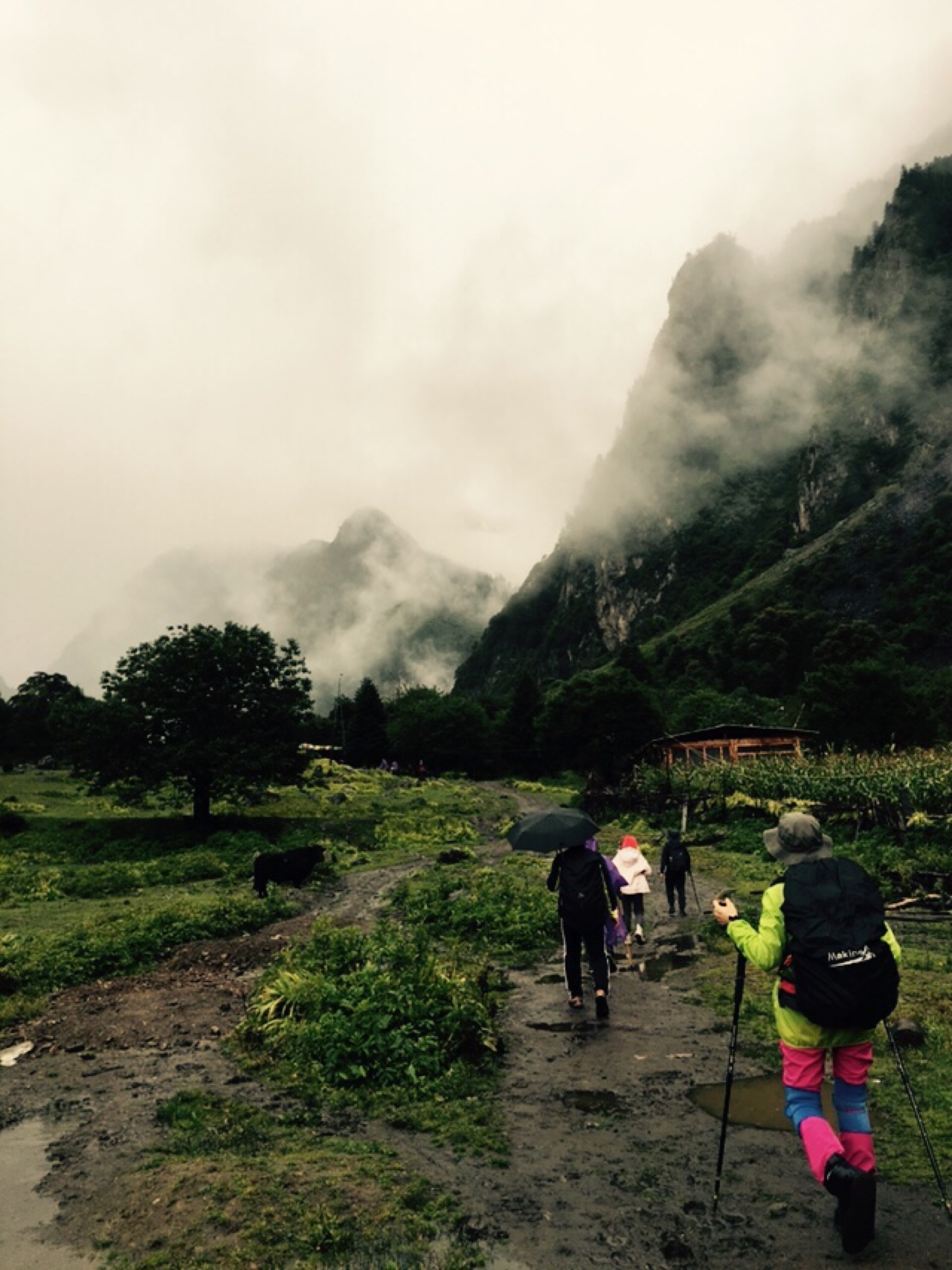 雨崩自助遊攻略