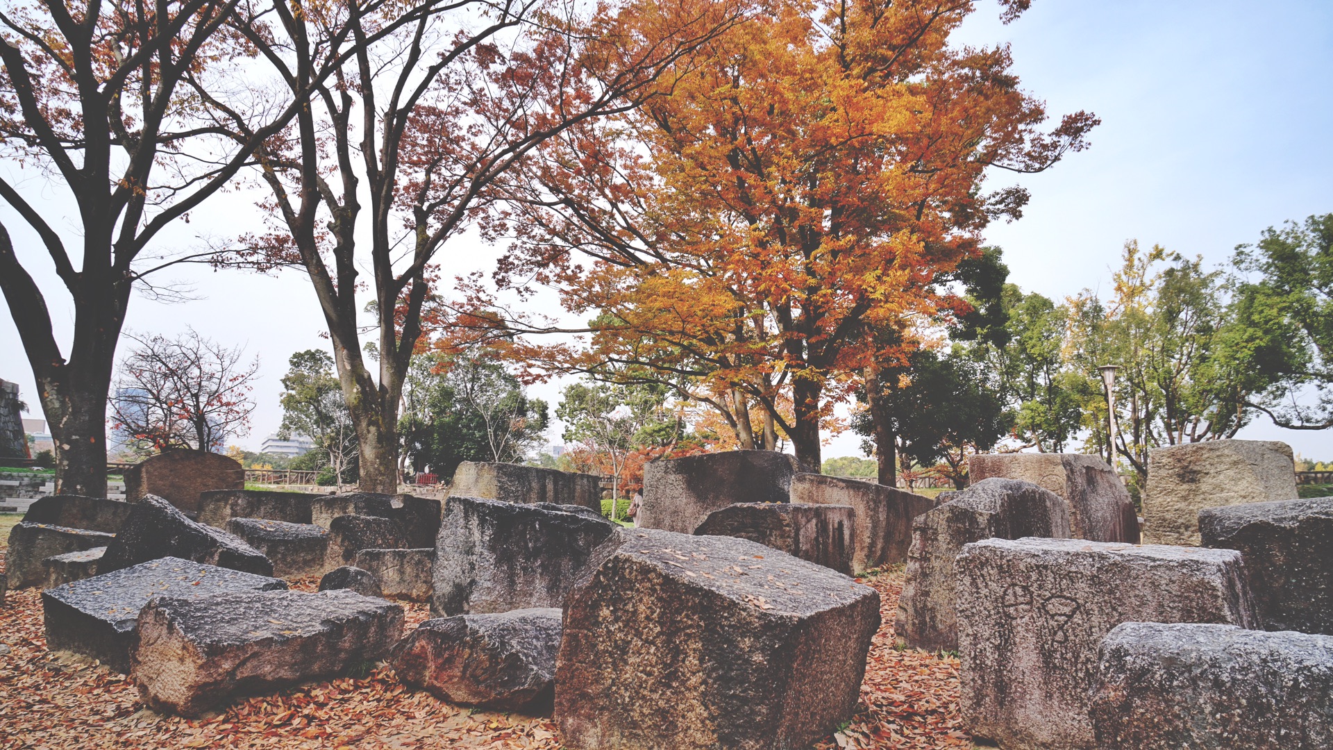 京都自助遊攻略