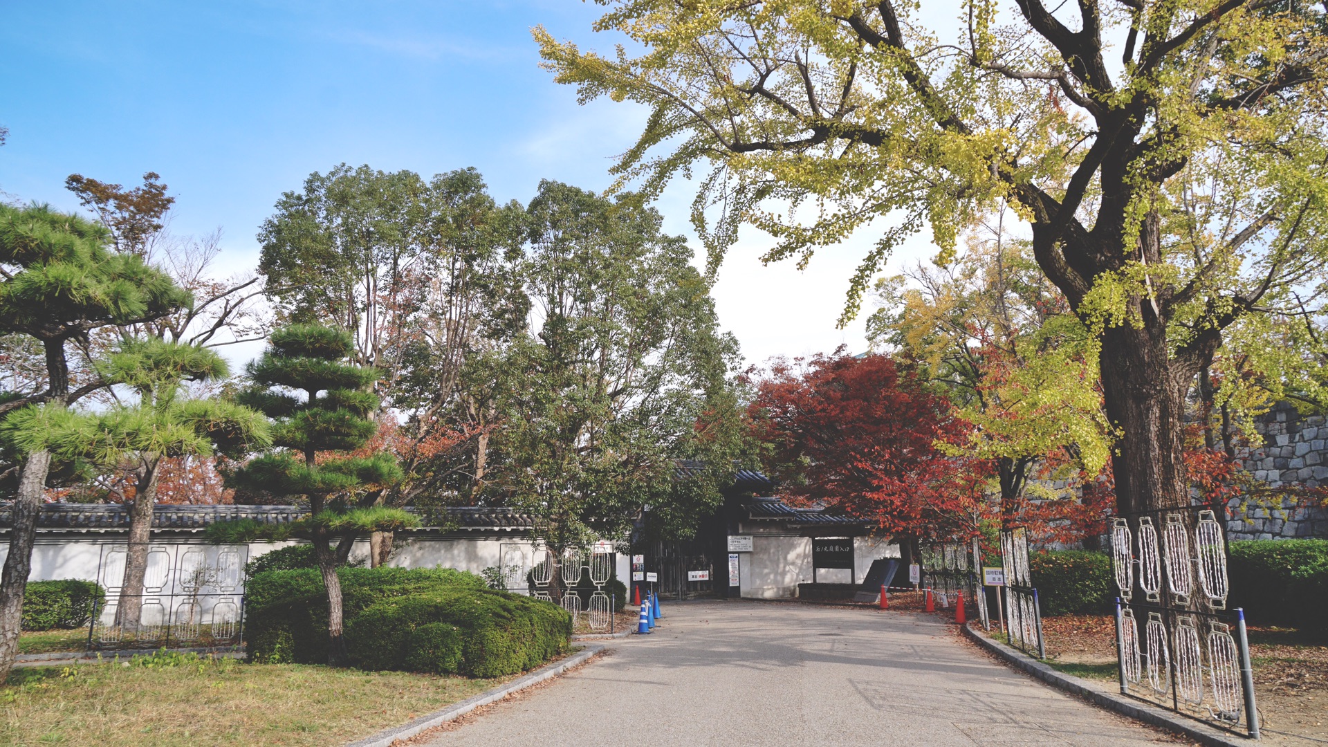 京都自助遊攻略