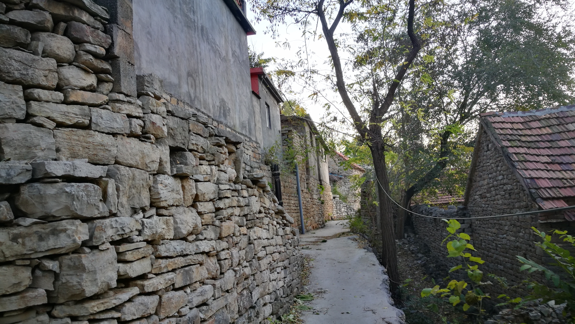 086青州三角地村,青州自助游攻略 - 马蜂窝