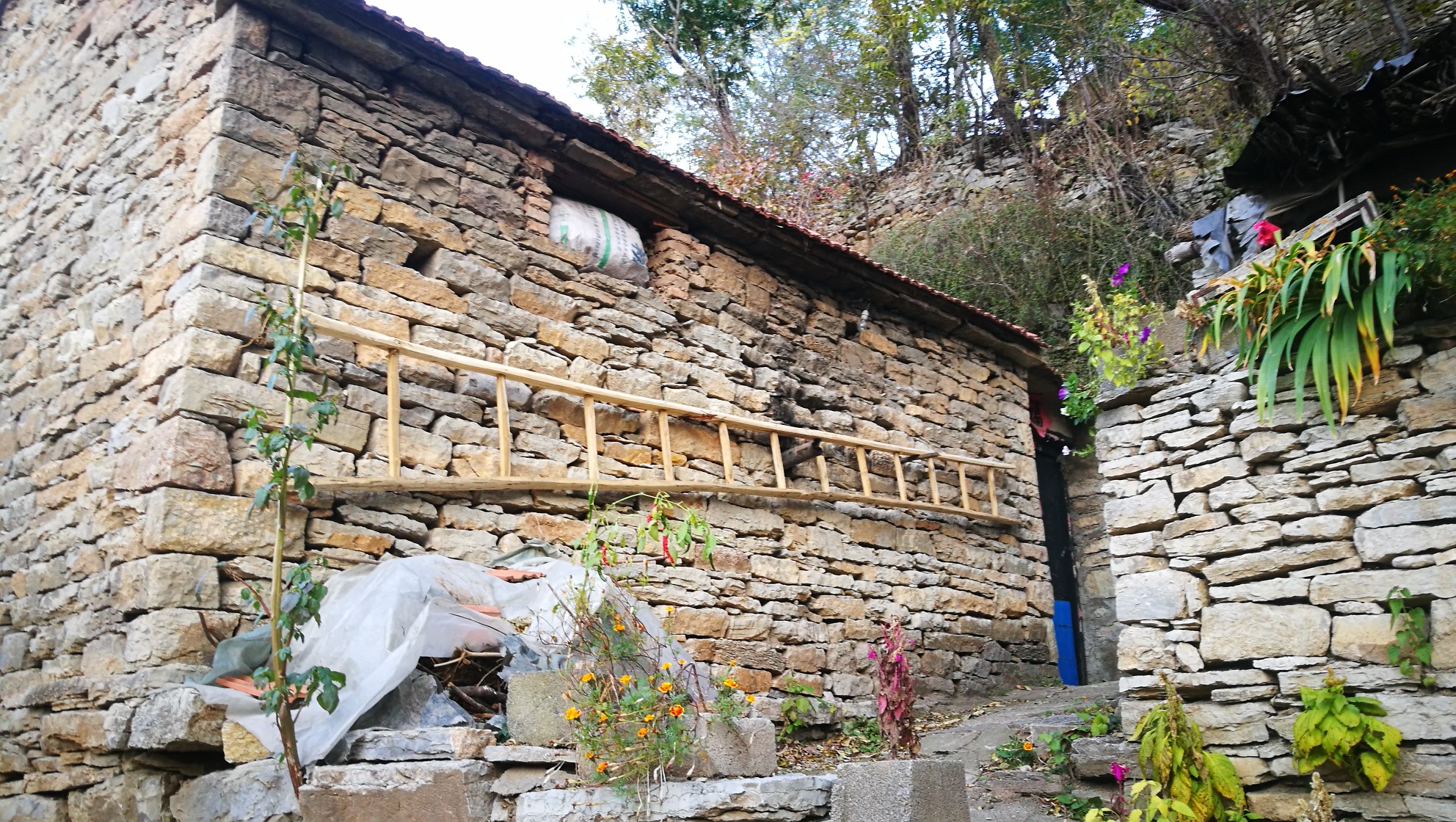 086青州三角地村,青州自助游攻略 - 马蜂窝