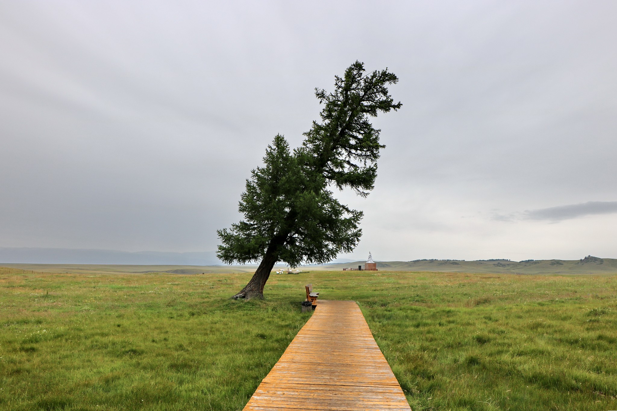 前无古人第七季新疆第四十二集——歪树白石头