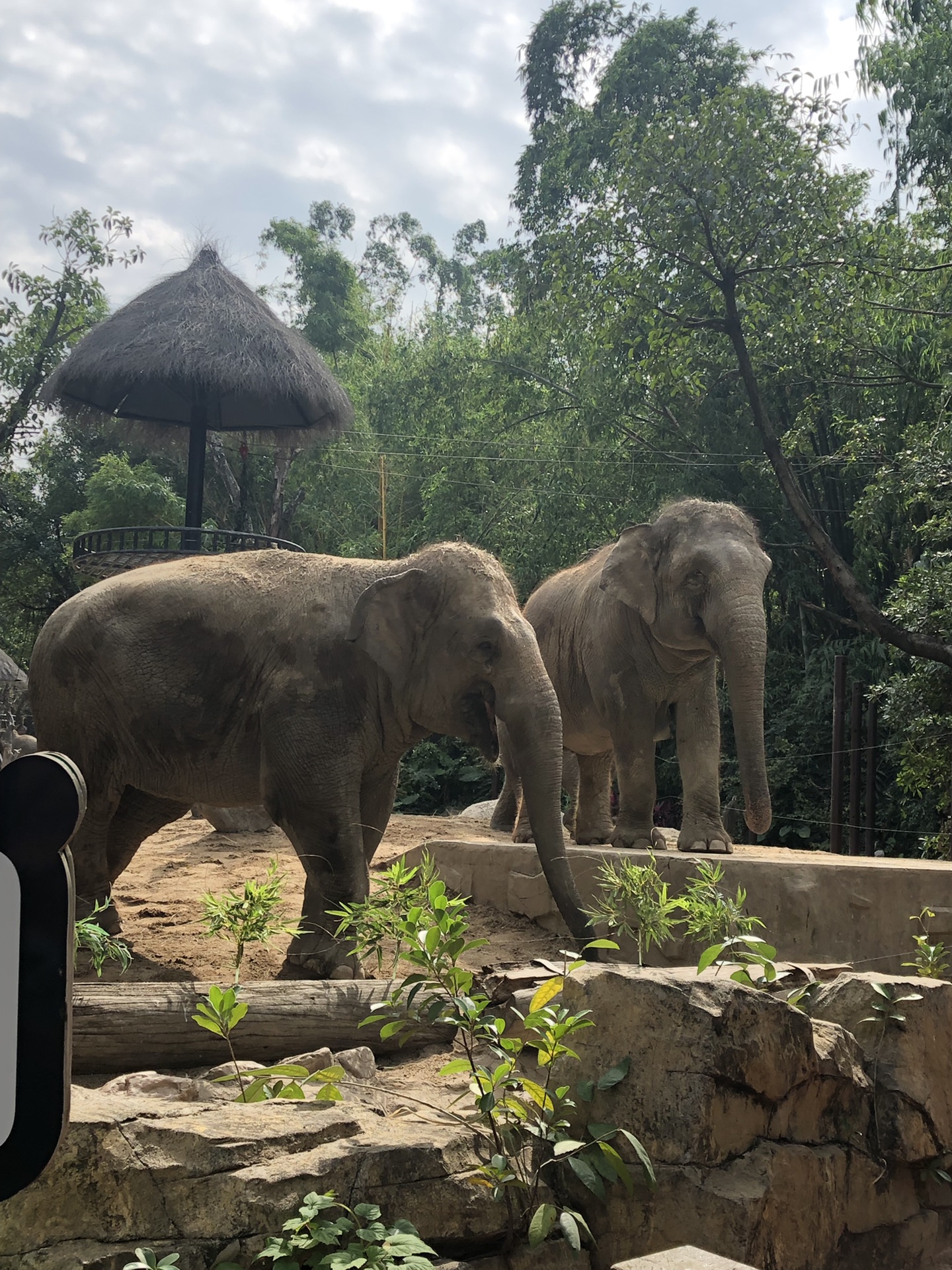 来一场动物王国的双隆记,珠海旅游攻略 - 马蜂窝