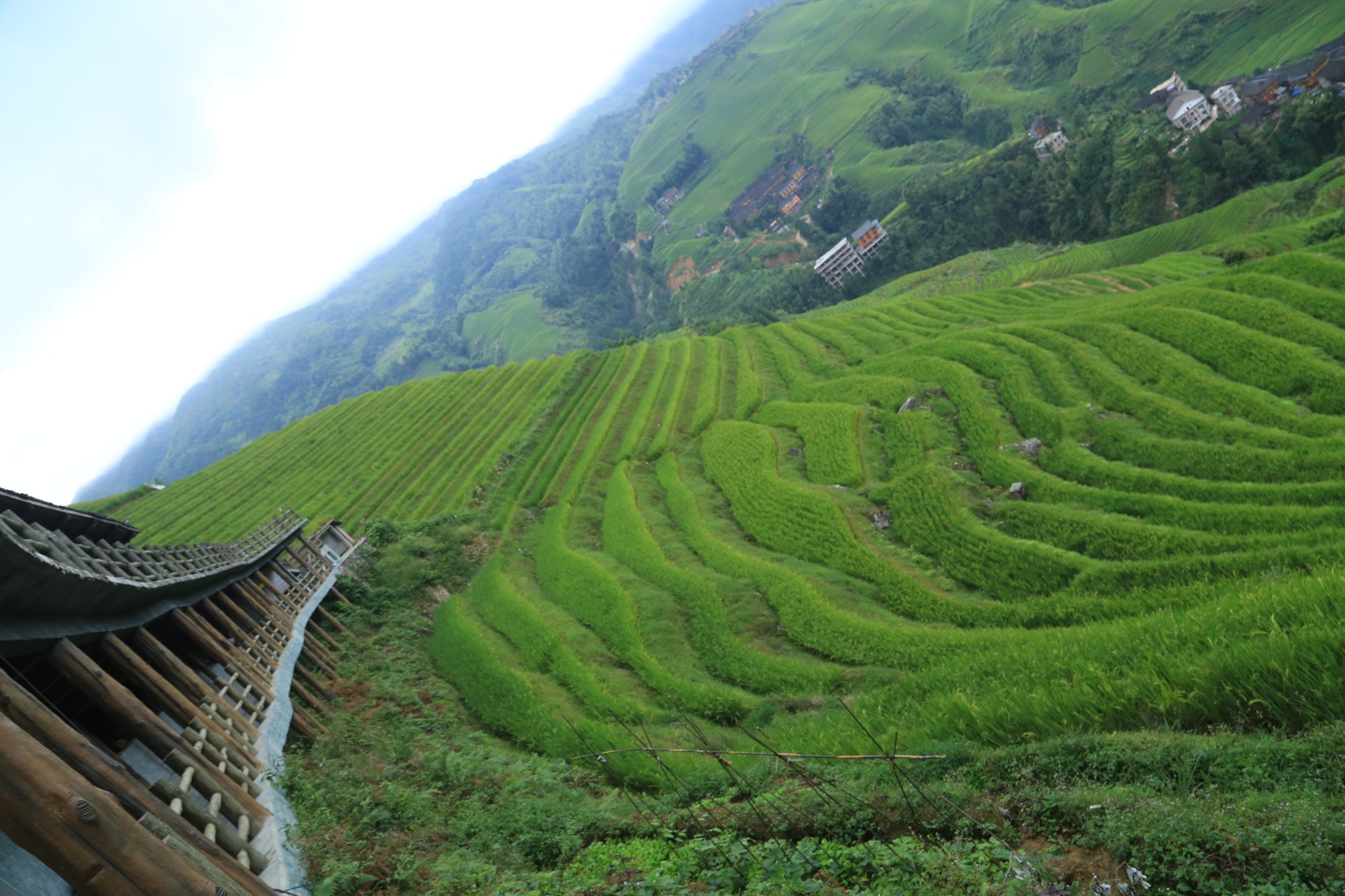 自由行--隨意的出行--夏日避暑--徒步登山之好去處,龍脊梯田旅遊攻略