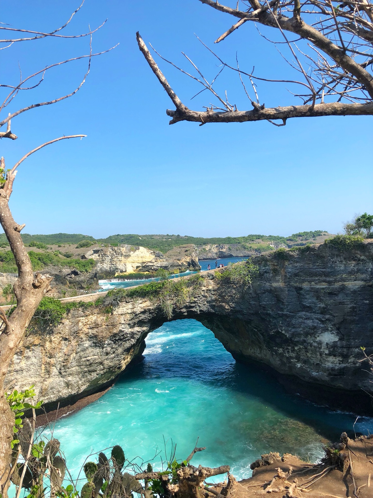 巴釐島自助遊攻略