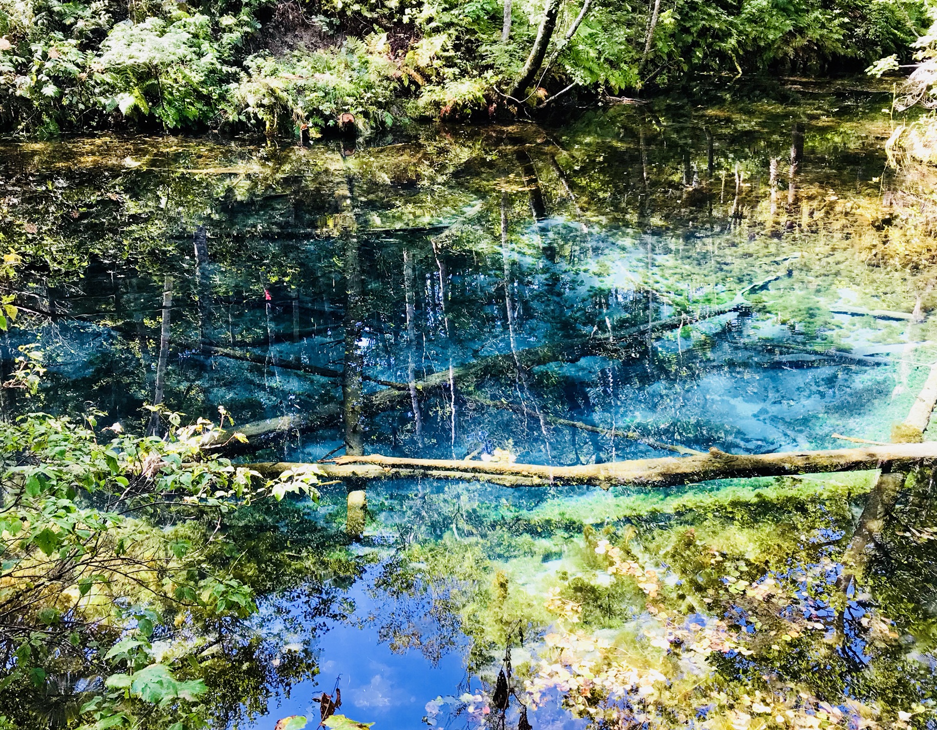 北海道自助遊攻略