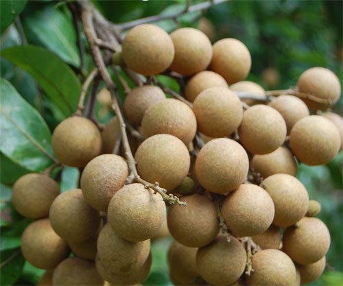 泉州休闲旅游攻略