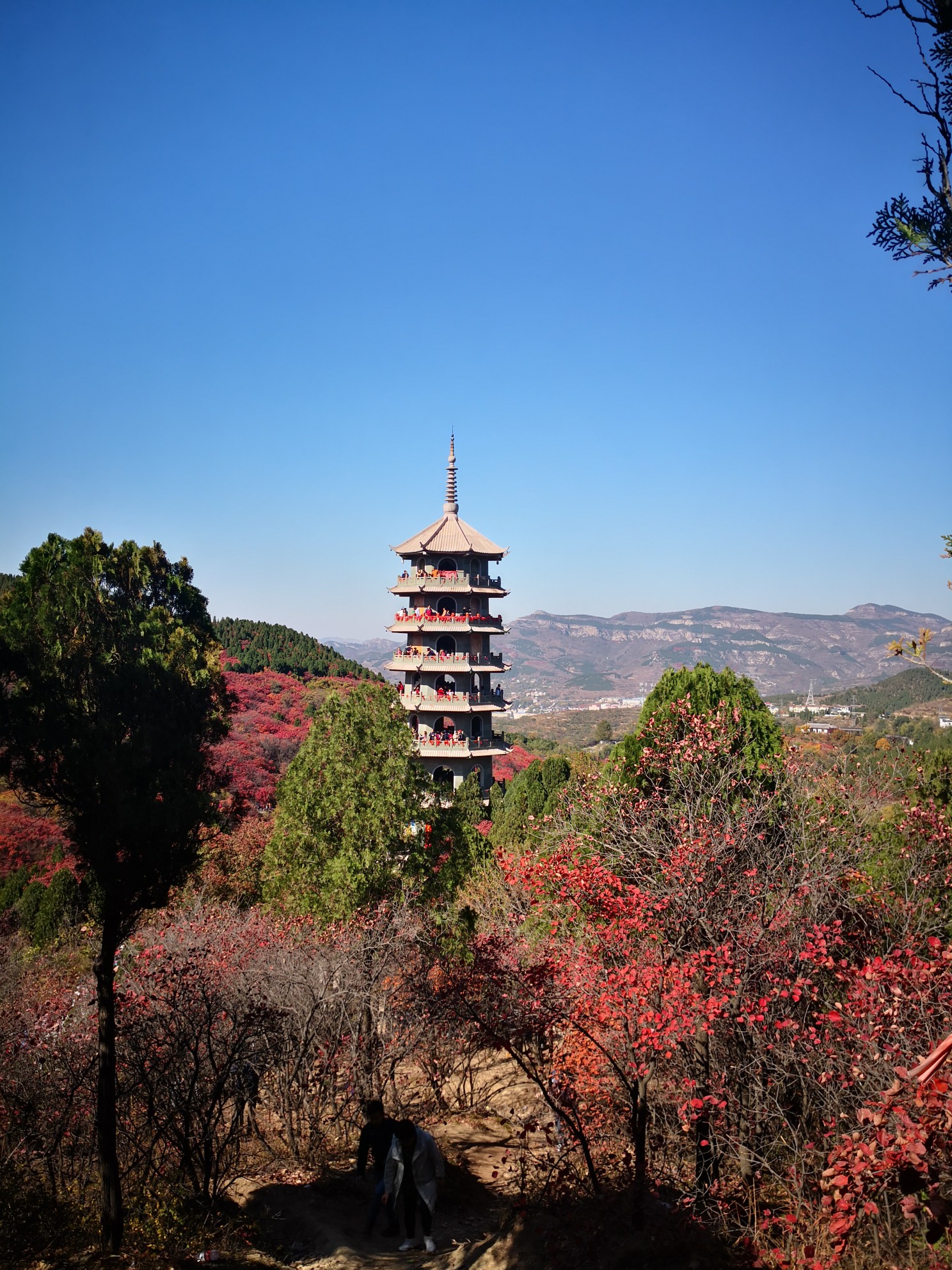 济南旅游8红叶谷4a级