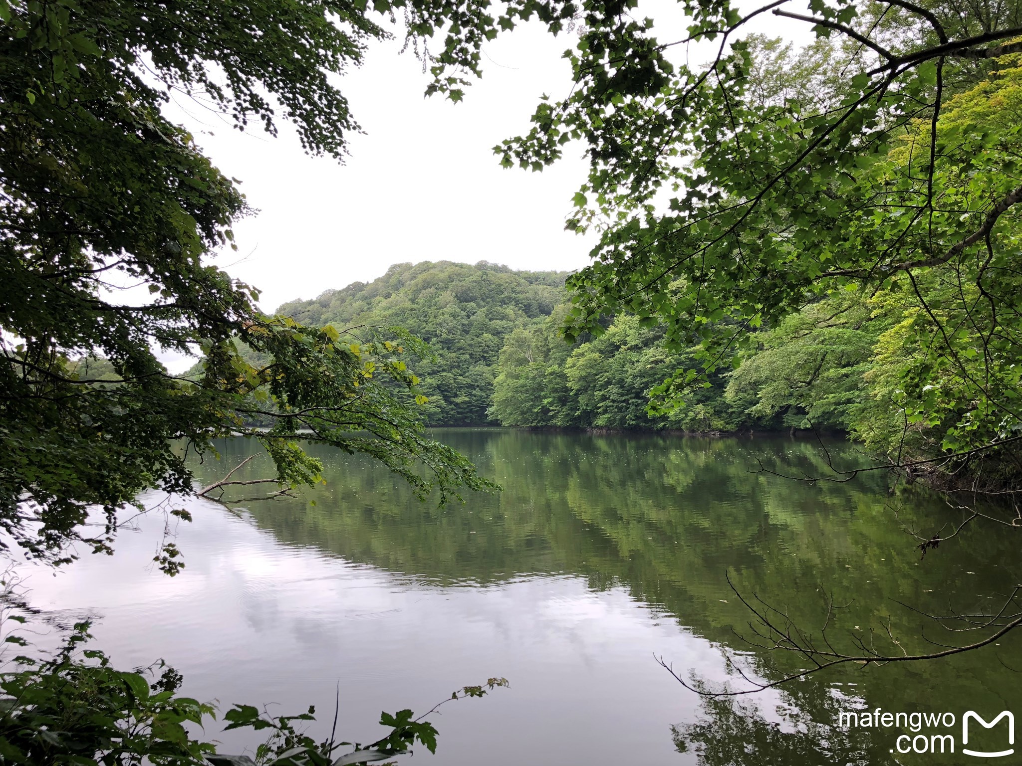 青森縣自助遊攻略