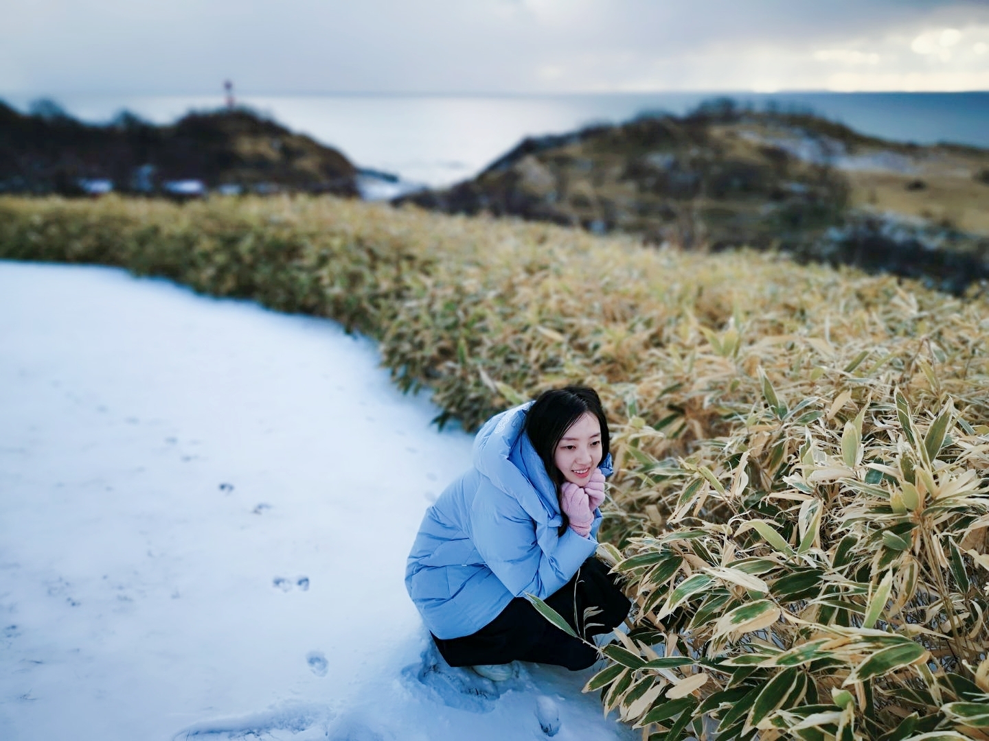 北海道自助遊攻略