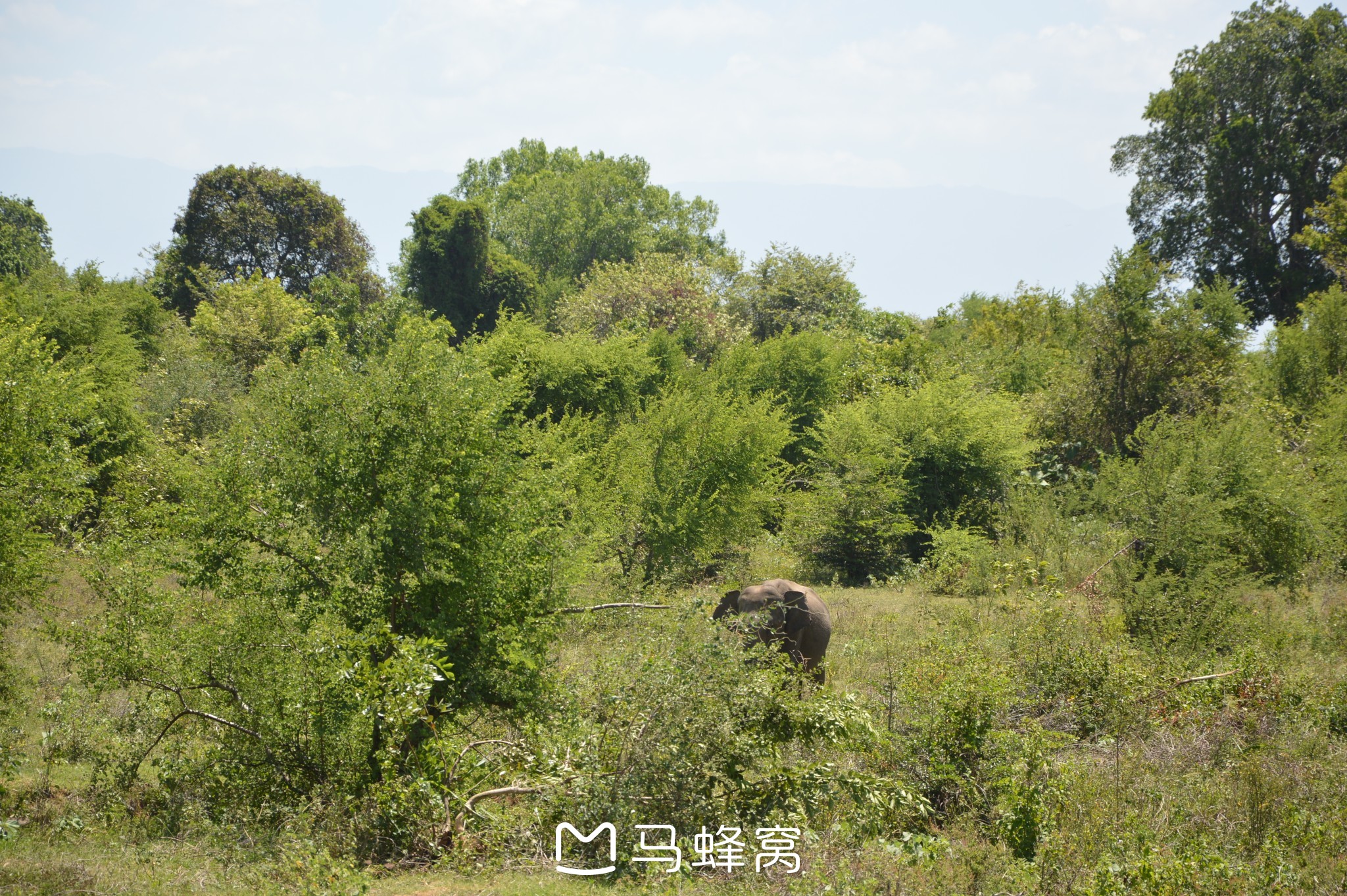 斯裡蘭卡自助遊攻略