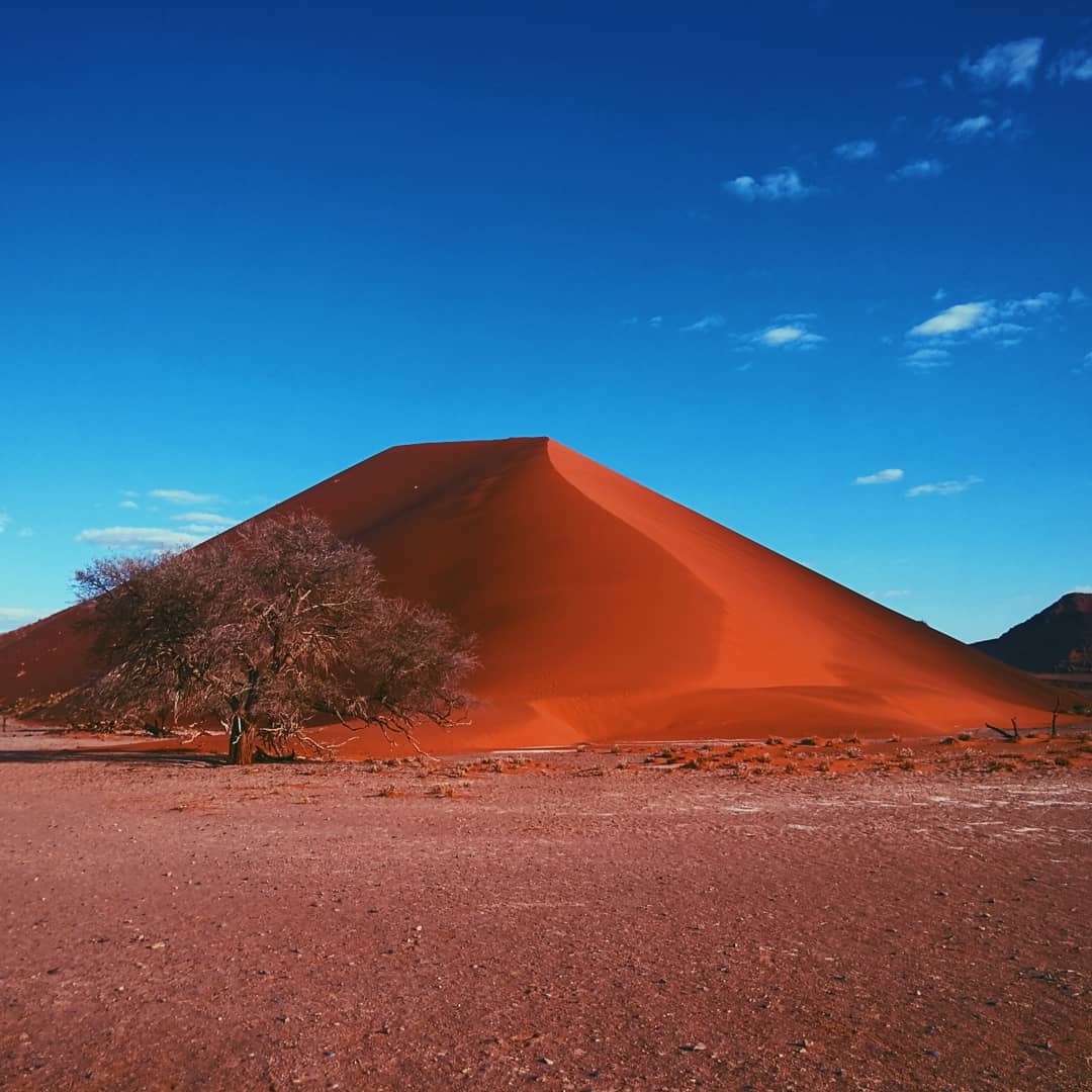 2022非洲旅游攻略,非洲自由行攻略,马蜂窝非洲出游攻略游记 - 马蜂窝