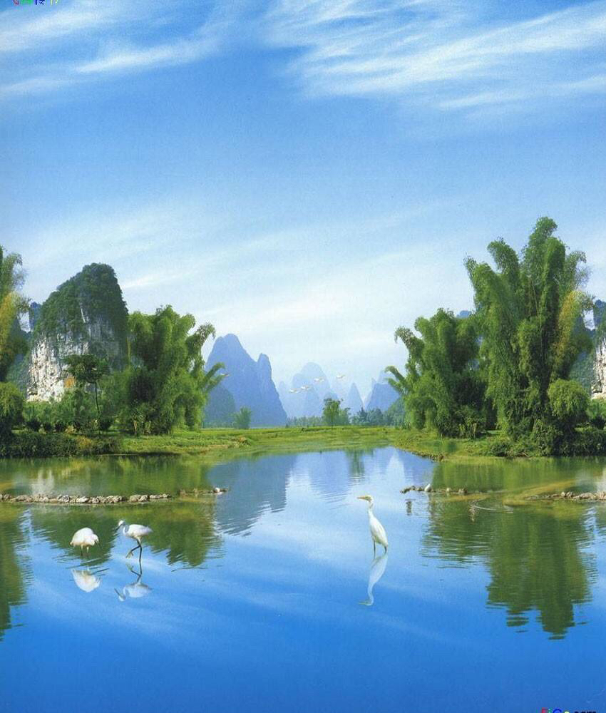 金龙寨酒店(新时代店)