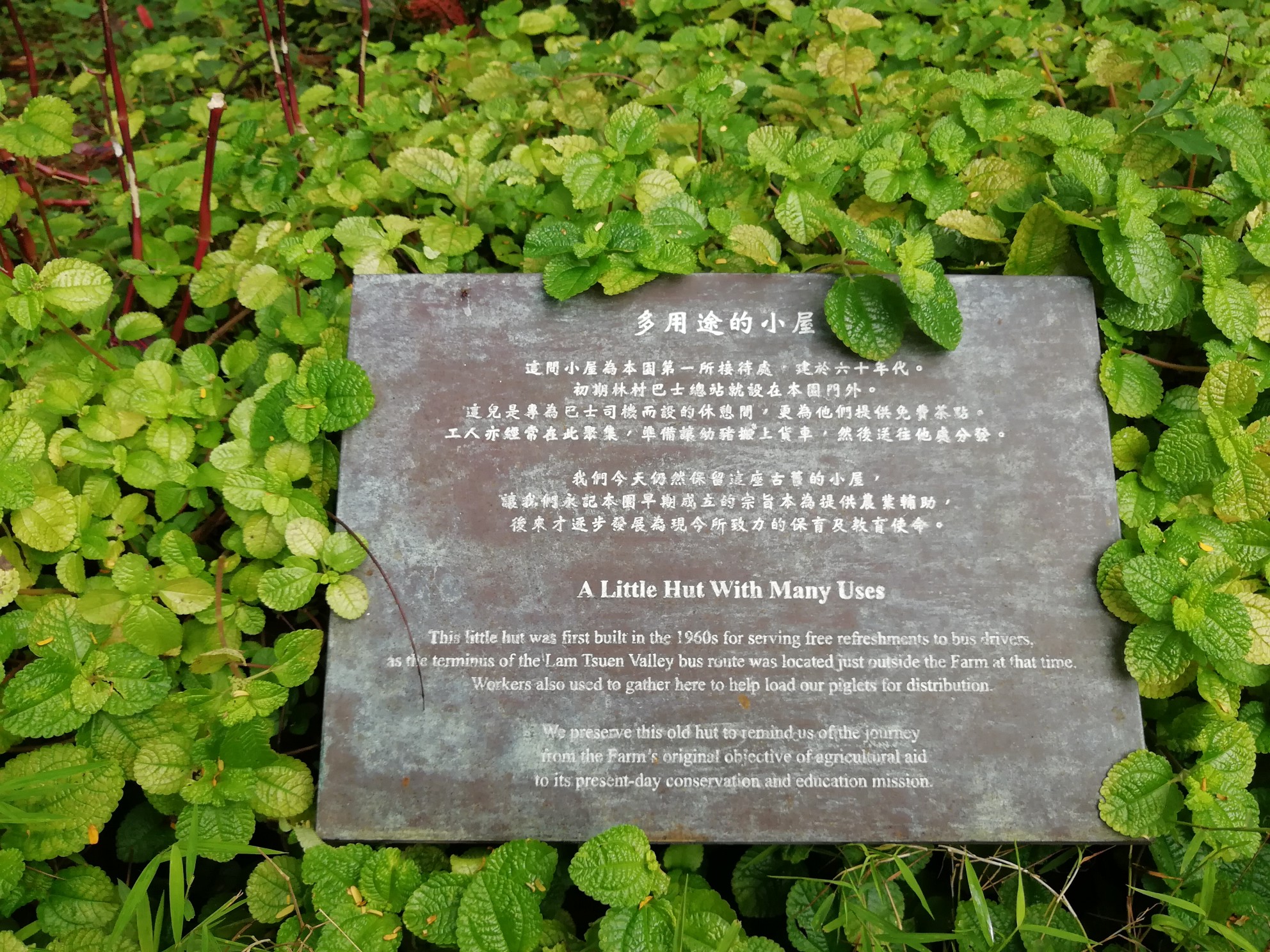 凤园蝴蝶保育区