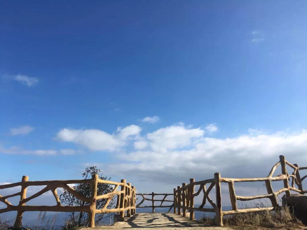 安溪国心绿谷茶庄园景区门票玻璃观景台云端滑道游览车全长555米落差