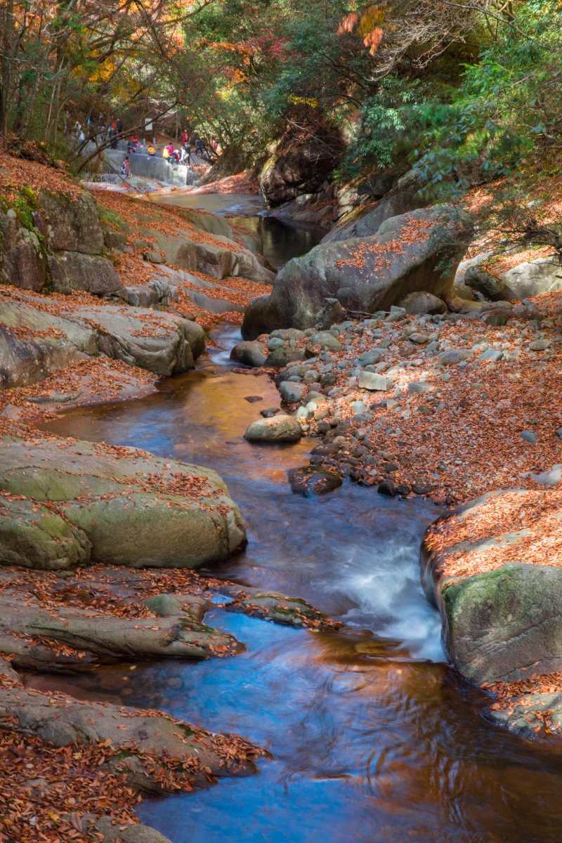 2018南江光霧山賞紅葉(十八月潭景區-米倉山國家森林公園大壩景區-諾