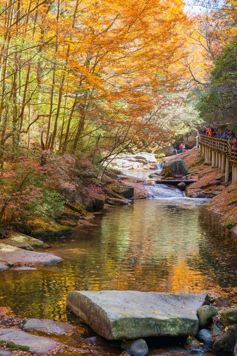 2018南江光霧山賞紅葉(十八月潭景區-米倉山國家森林公園大壩景區-諾