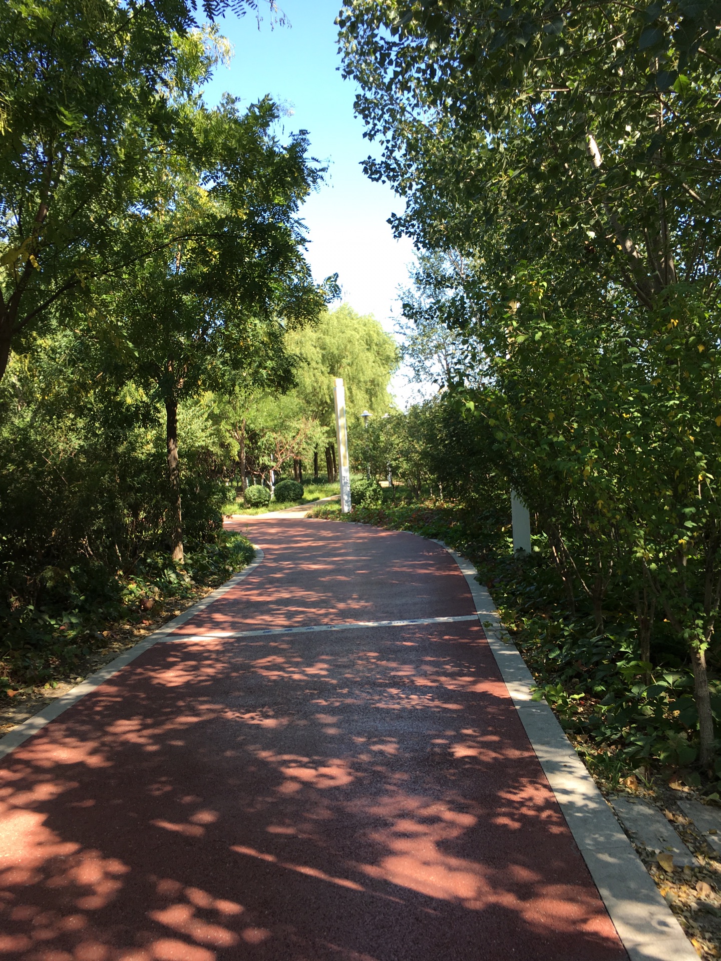 最美的城---中新生态城_游记