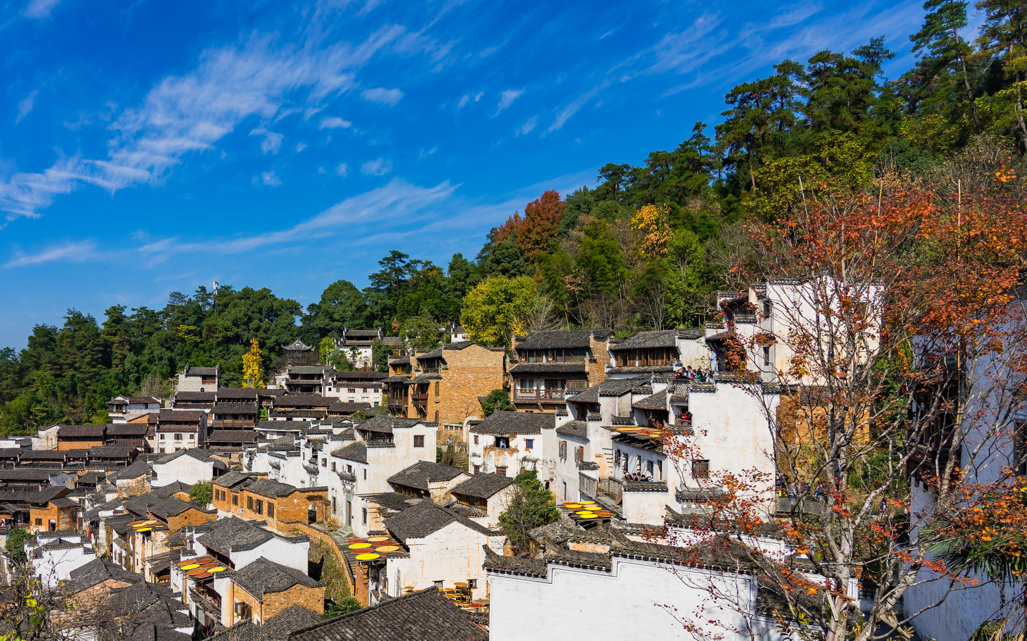 醉美婺源—賞楓曬秋——婺源篁嶺,石城村一日遊.