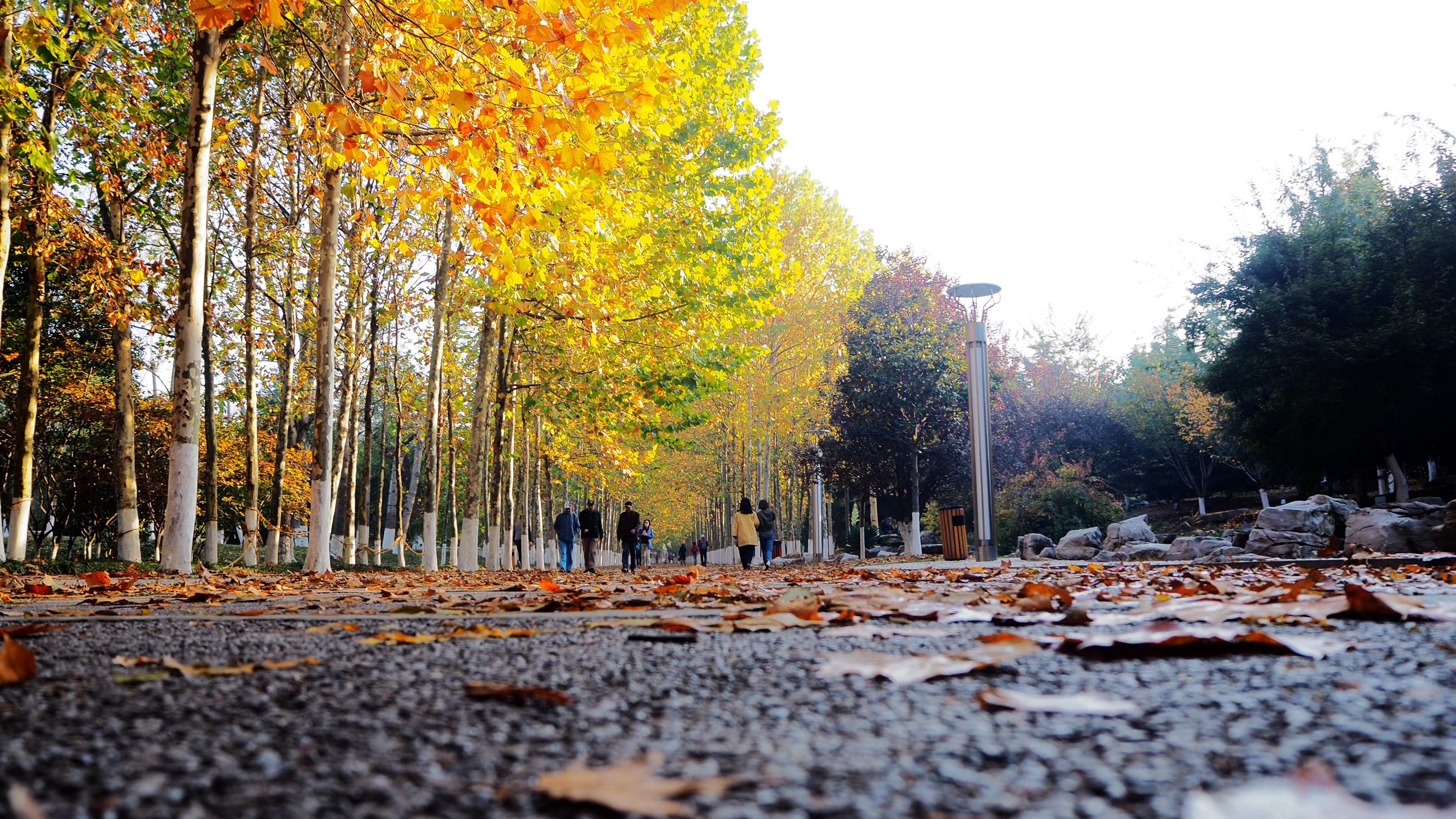 青岛景点-青岛太平角公园