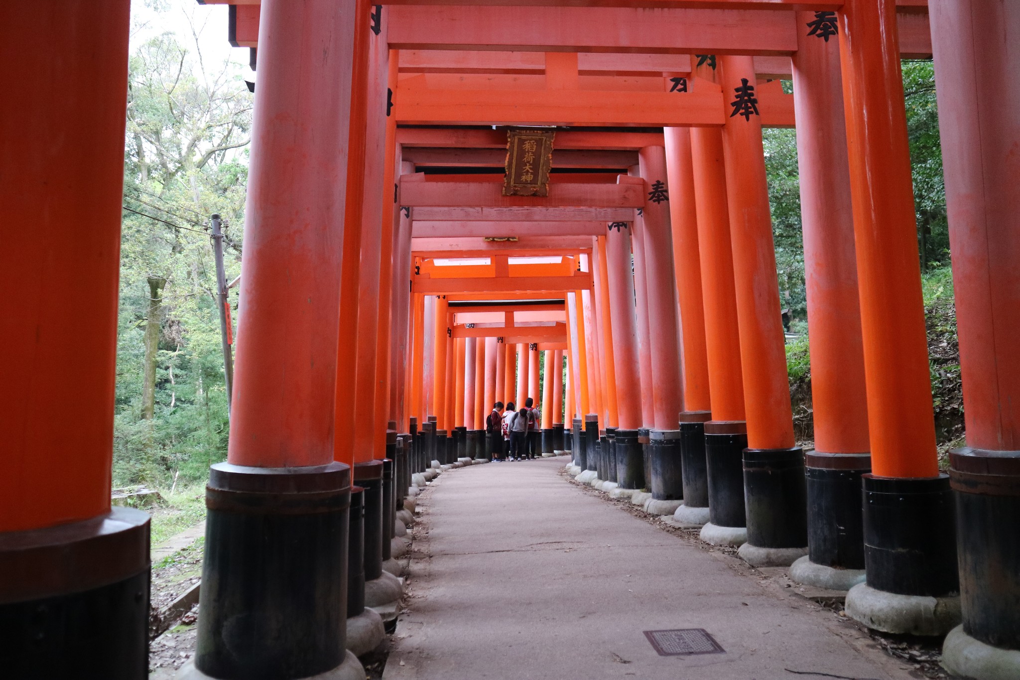 京都自助遊攻略