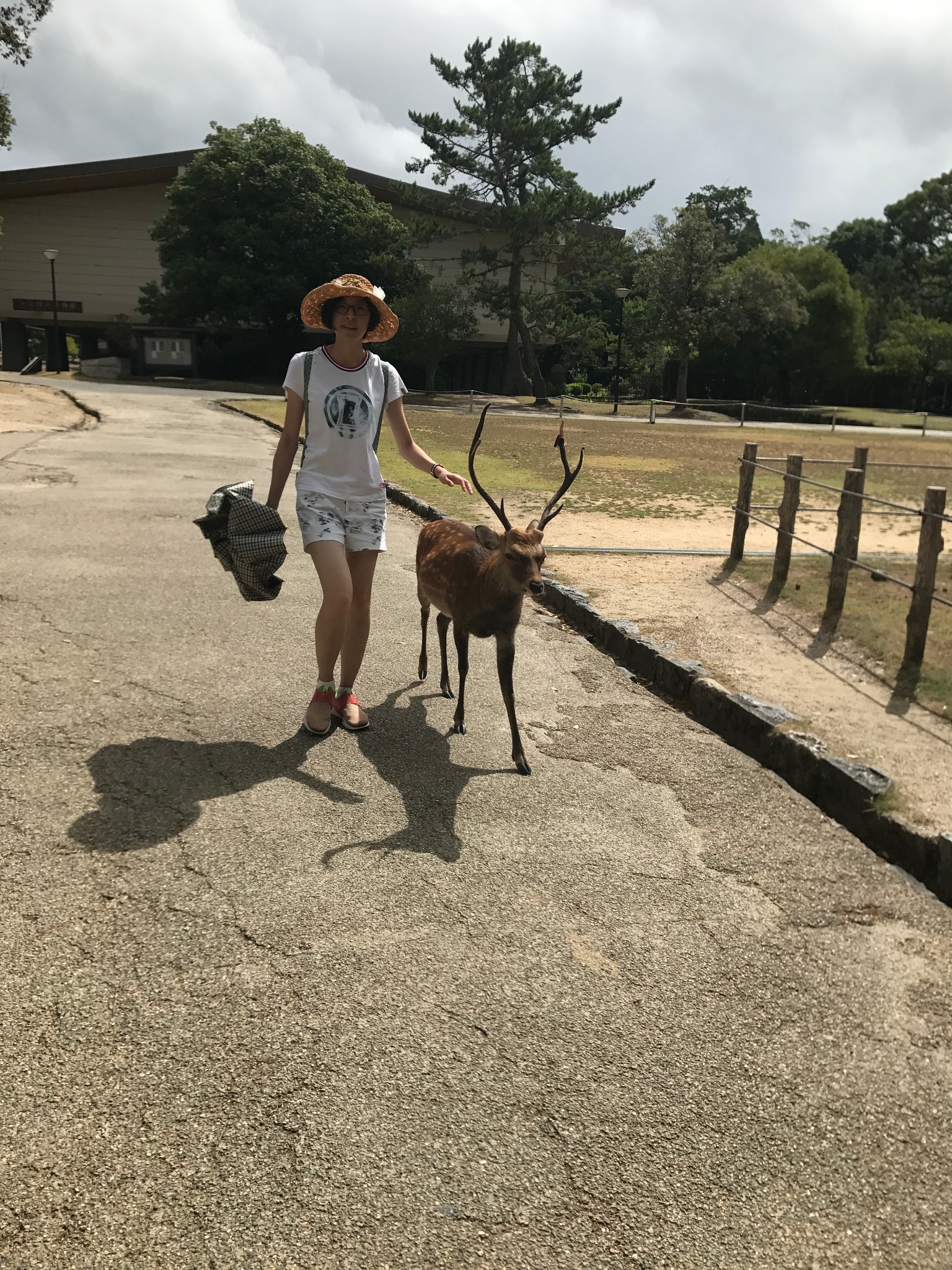 又見東京,新遇關西之旅,大阪自助遊攻略 - 馬蜂窩