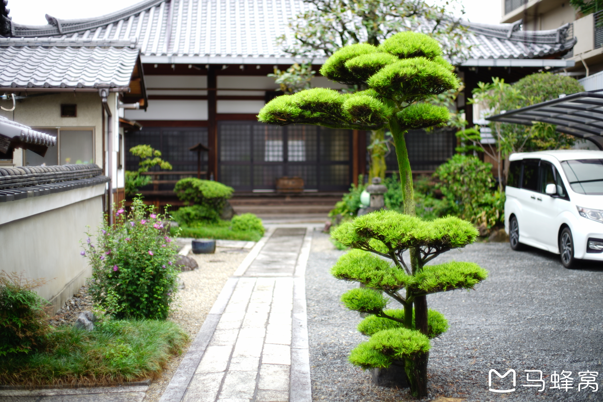 京都自助遊攻略