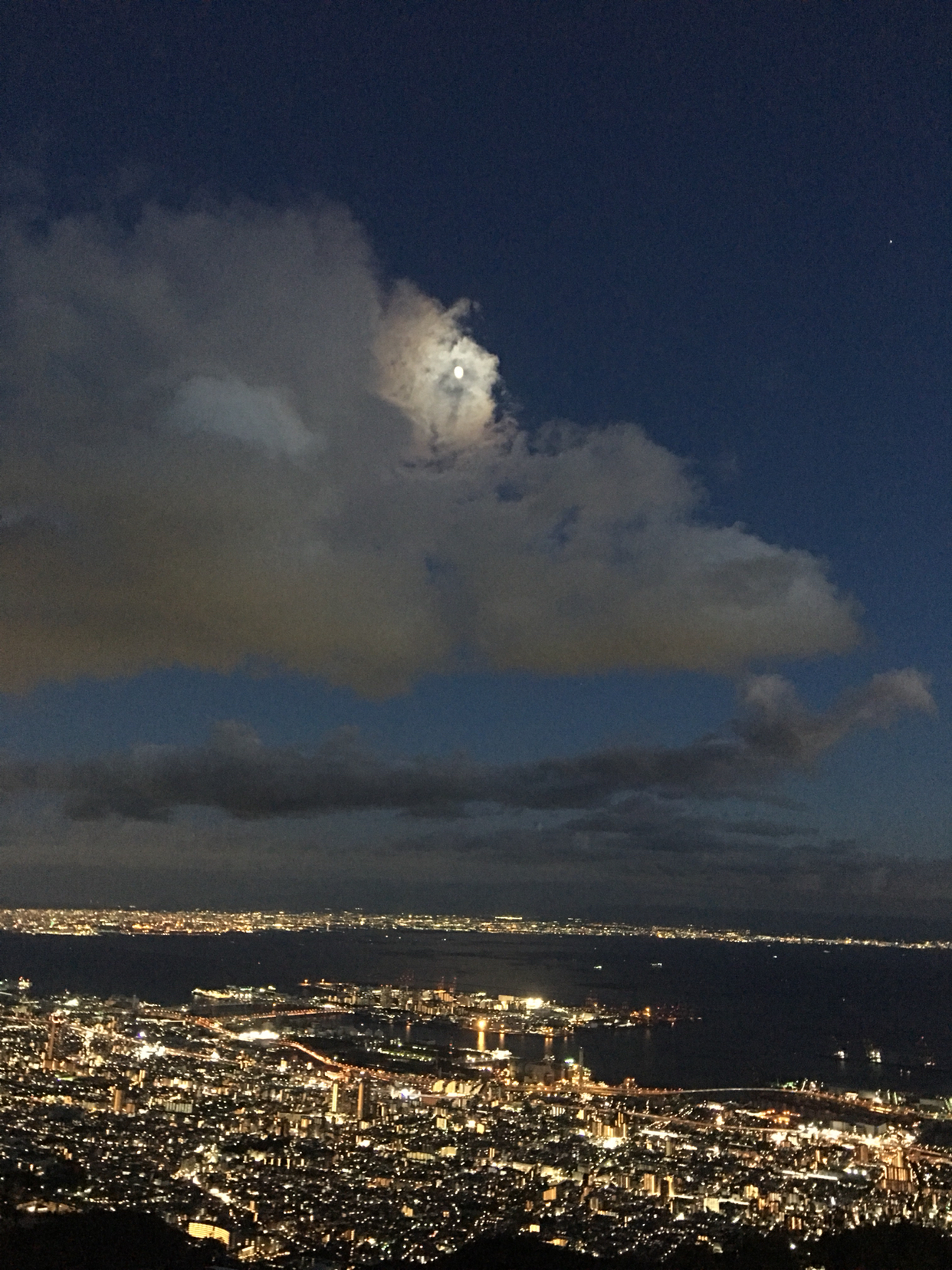 大阪有马温泉六甲山 山顶景色 农场 摩耶山 马蜂窝