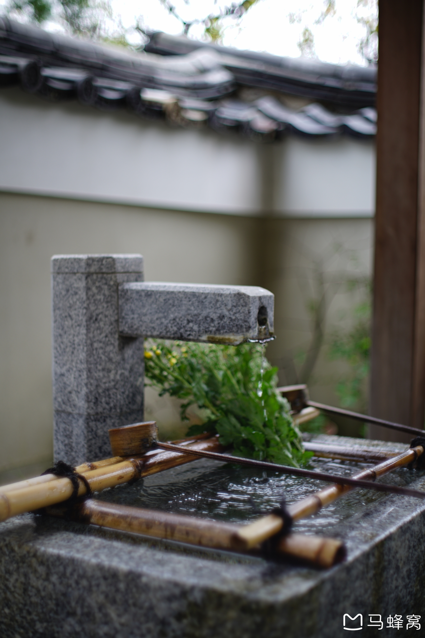 京都自助遊攻略