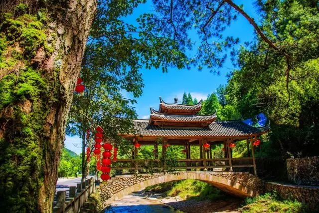 景宁深垟村 | 带你一秒穿到童话世界