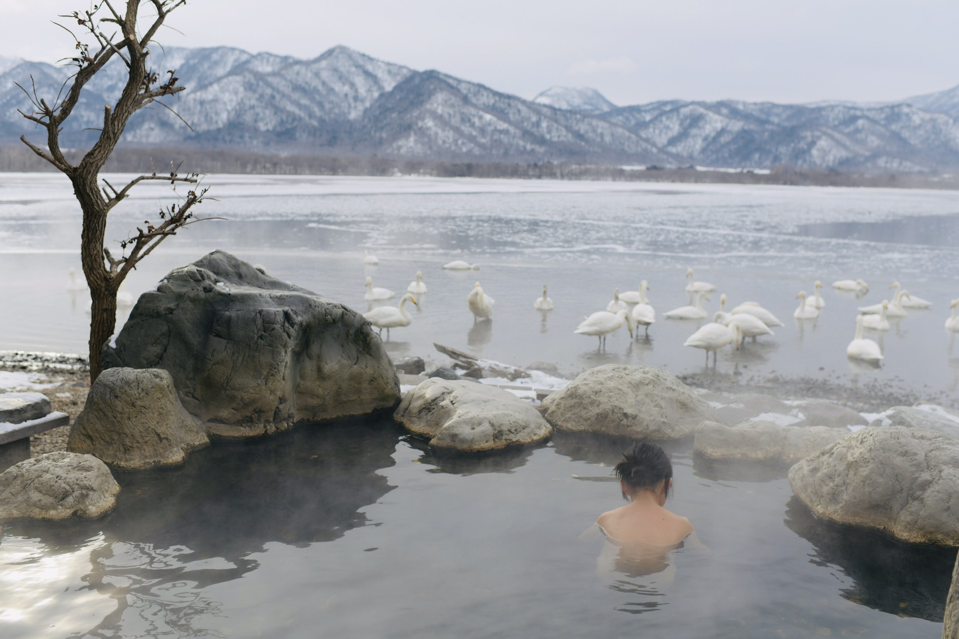 北海道自助遊攻略