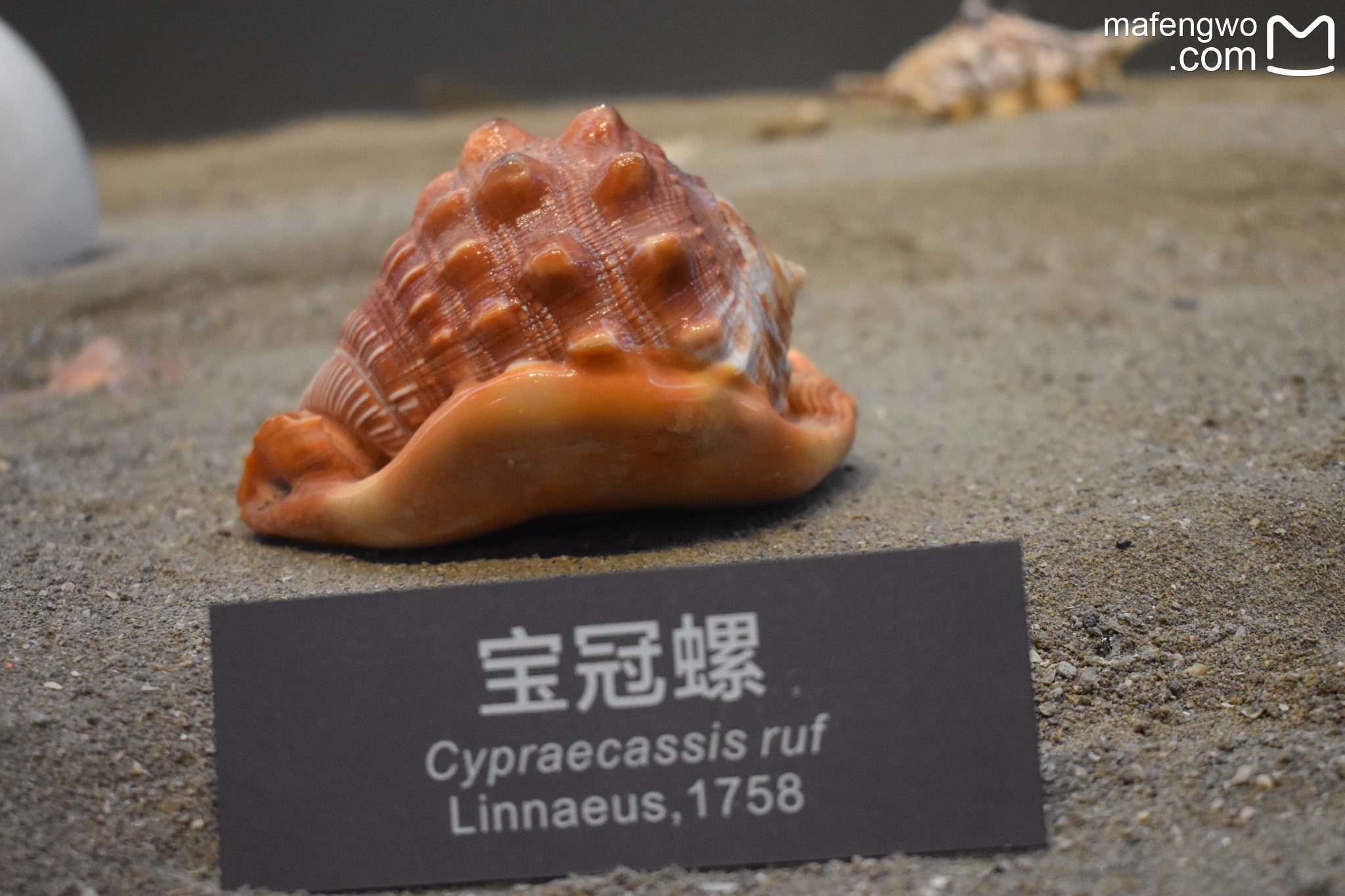 舟山东极岛—— 千山千岛万海之行