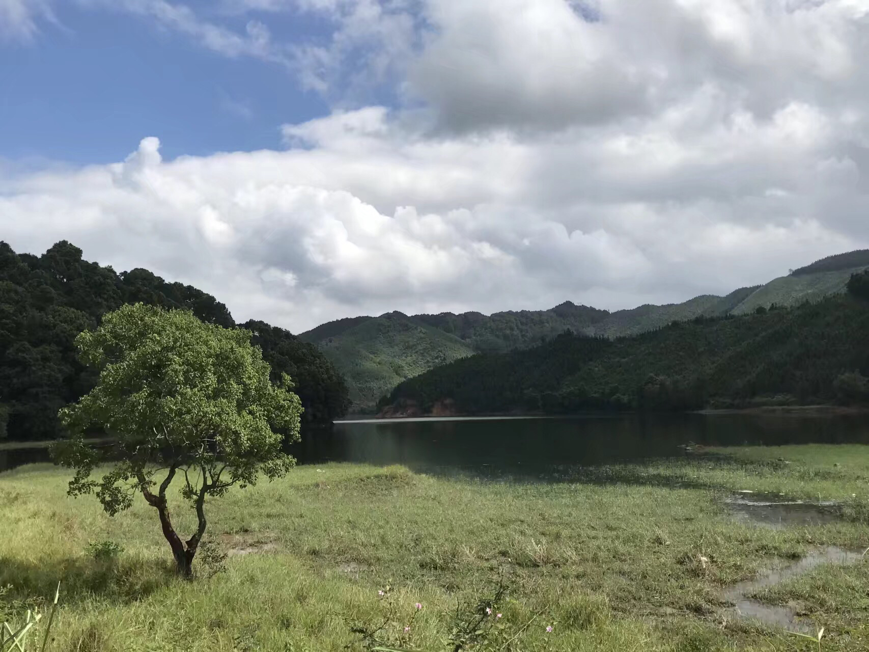 天鹅水库