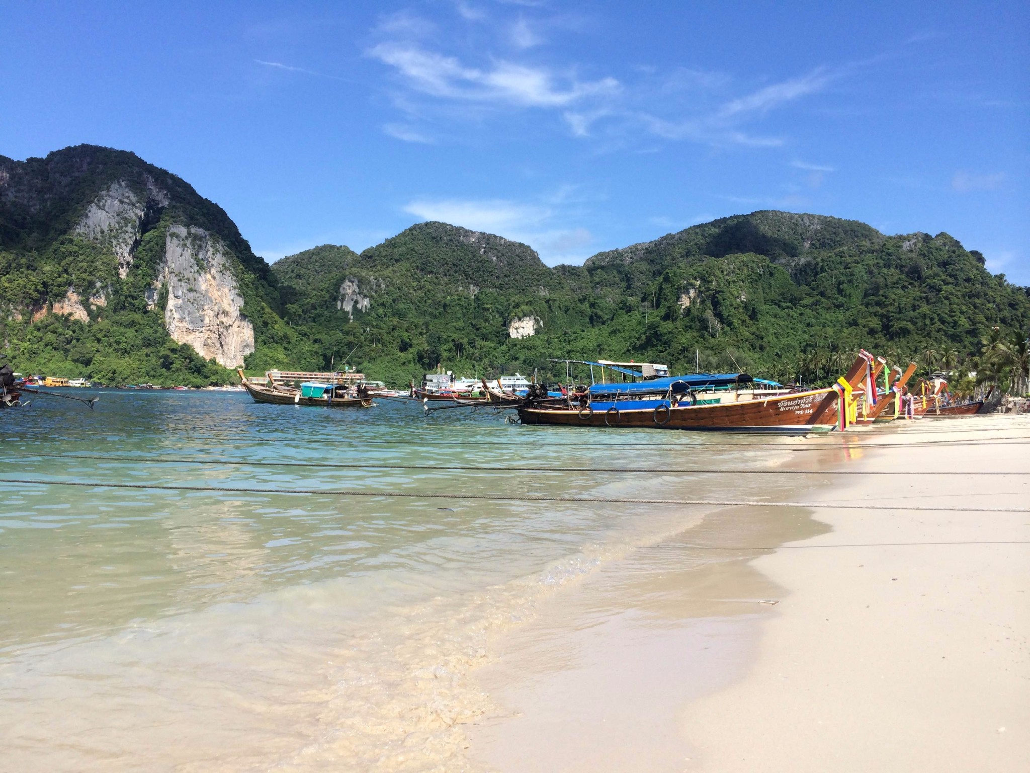 出海大船(图片来源于网络)