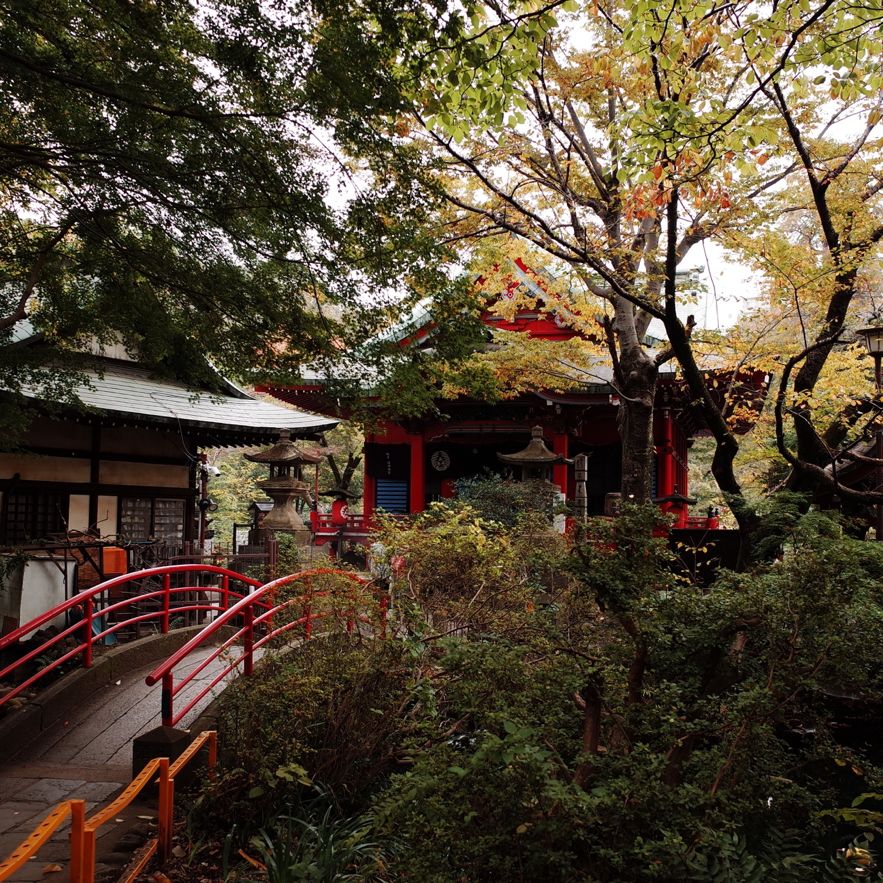 日本人都爱的吉祥寺到底是个怎样的地方