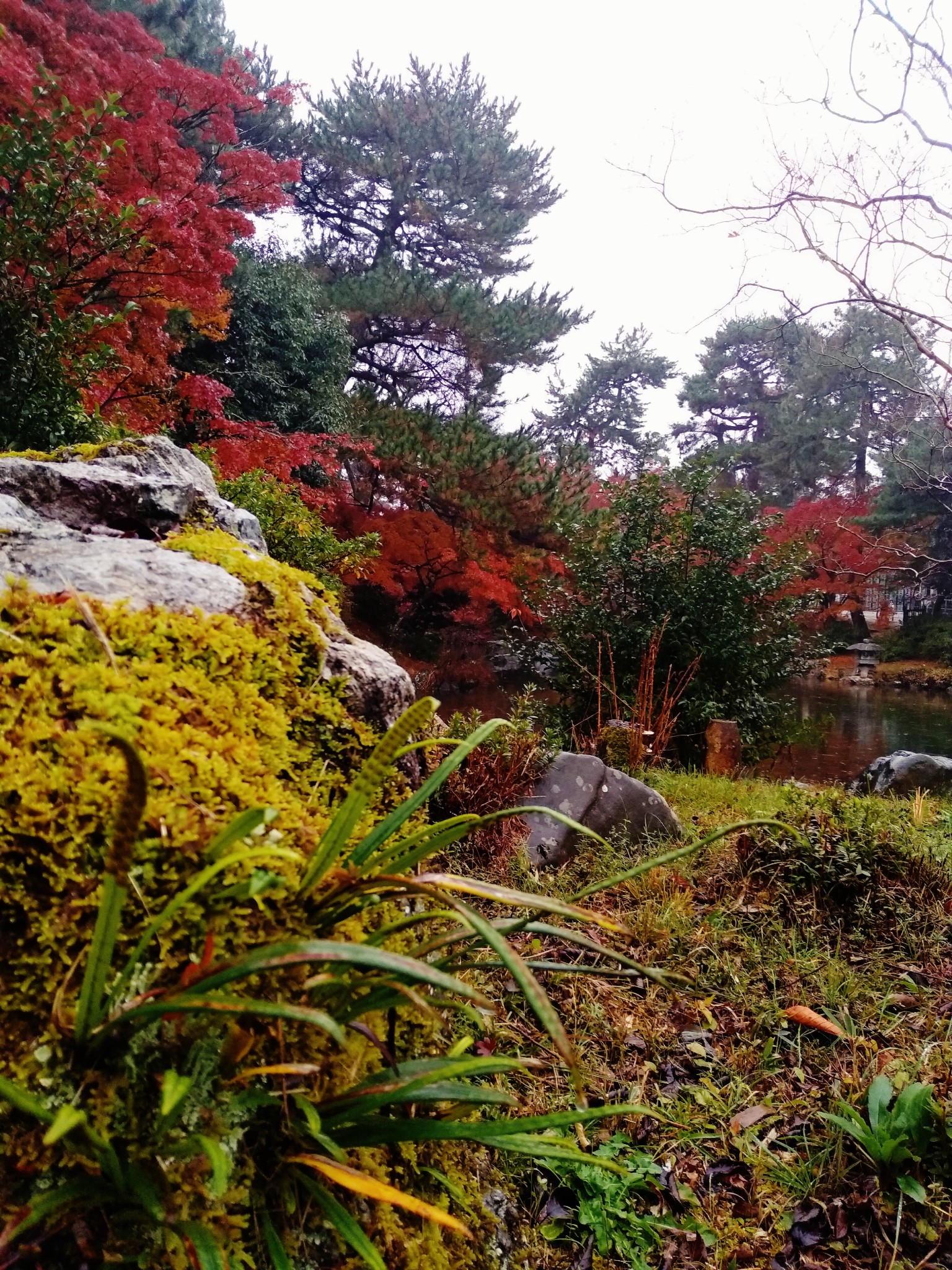 京都自助遊攻略